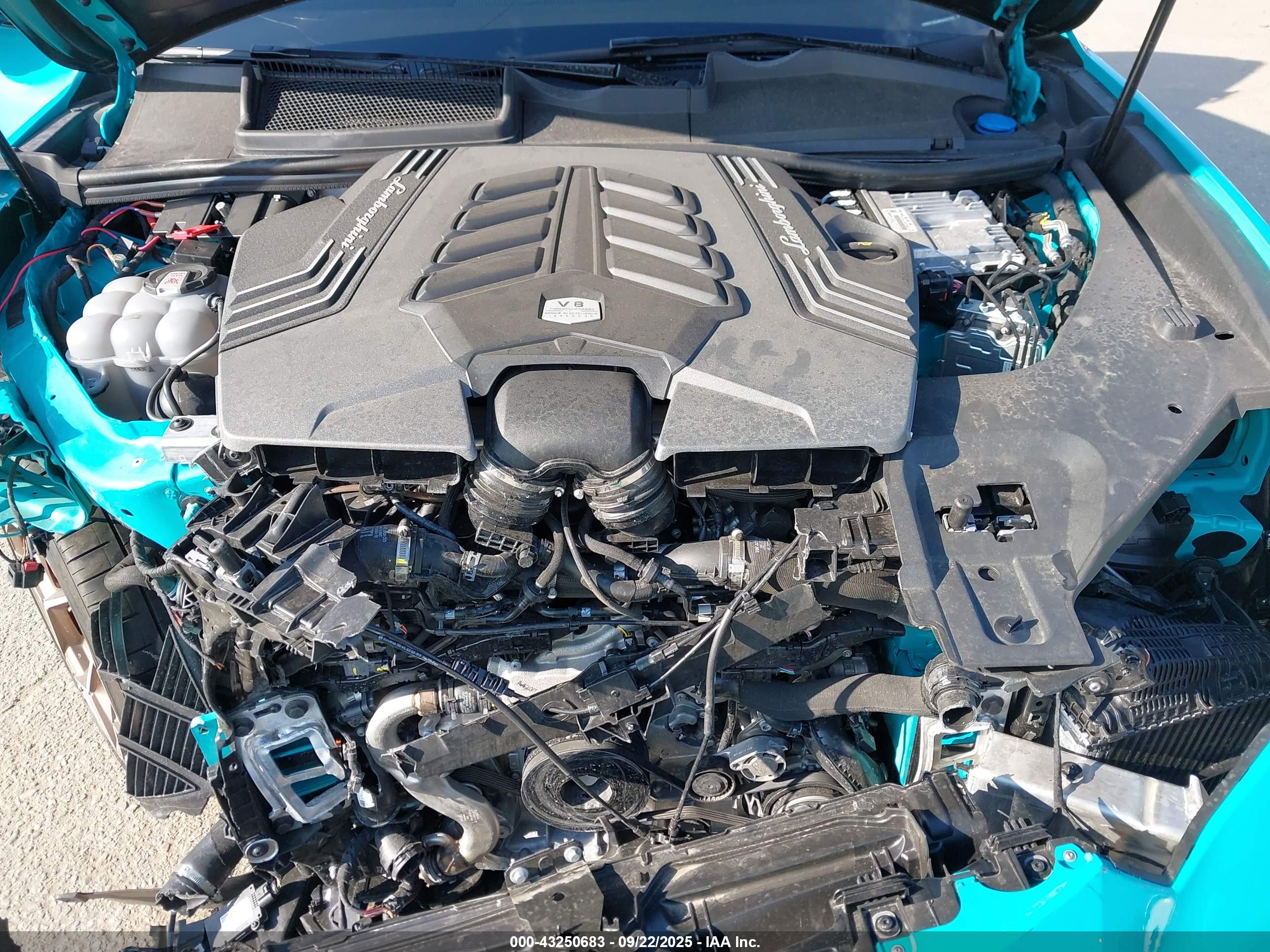 LAMBORGHINI URUS image 10