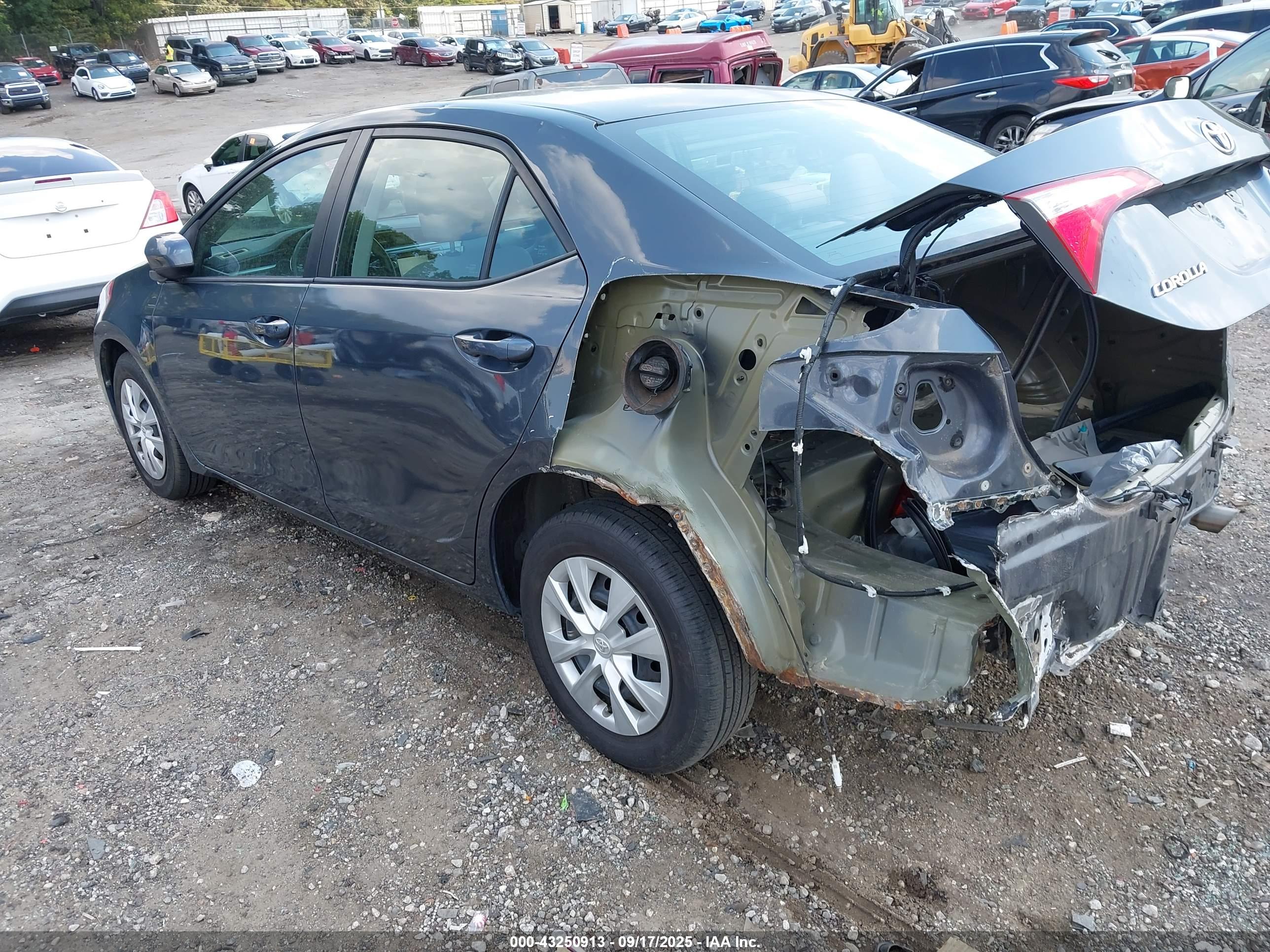 TOYOTA COROLLA image 3