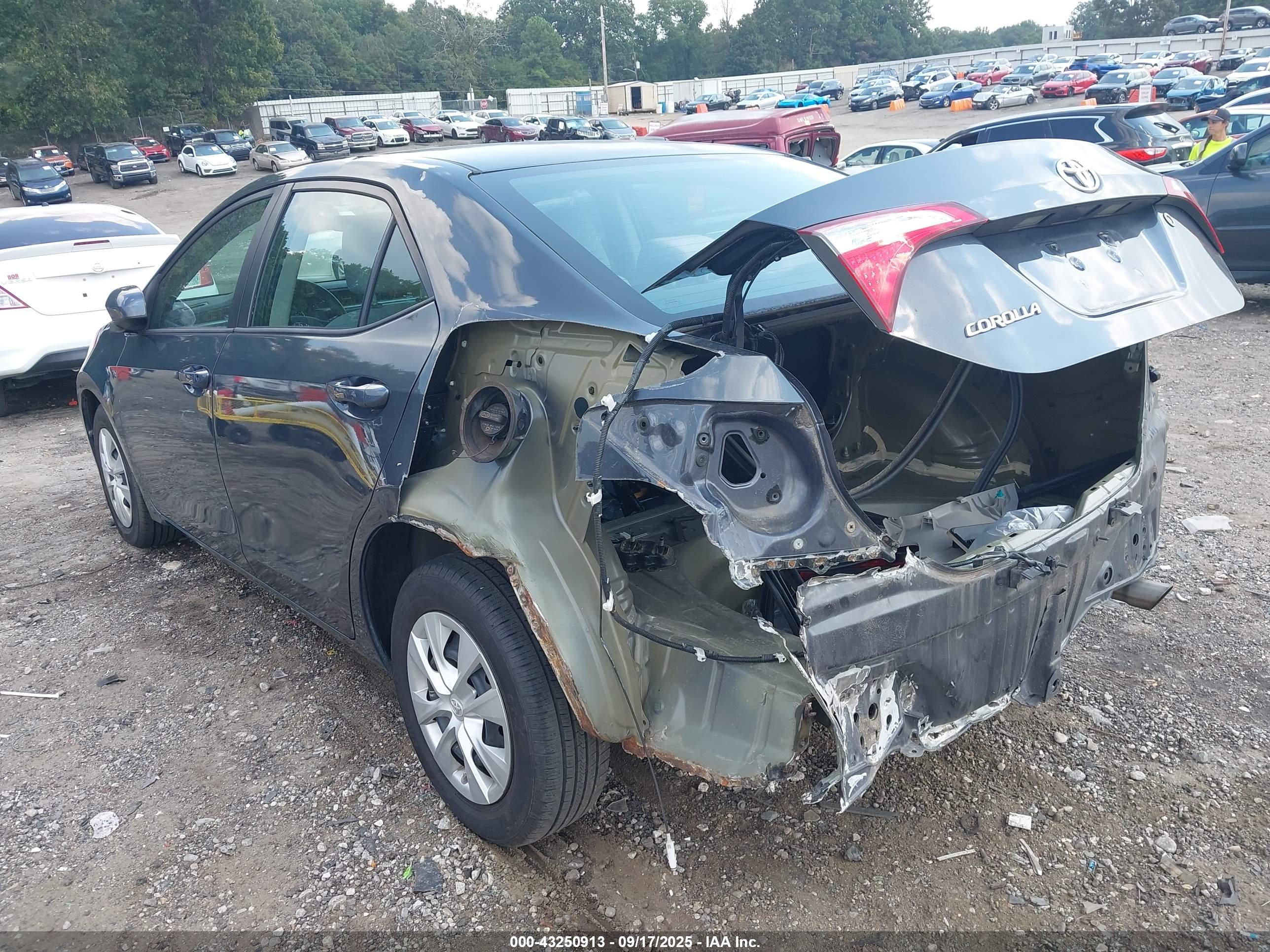 TOYOTA COROLLA image 6