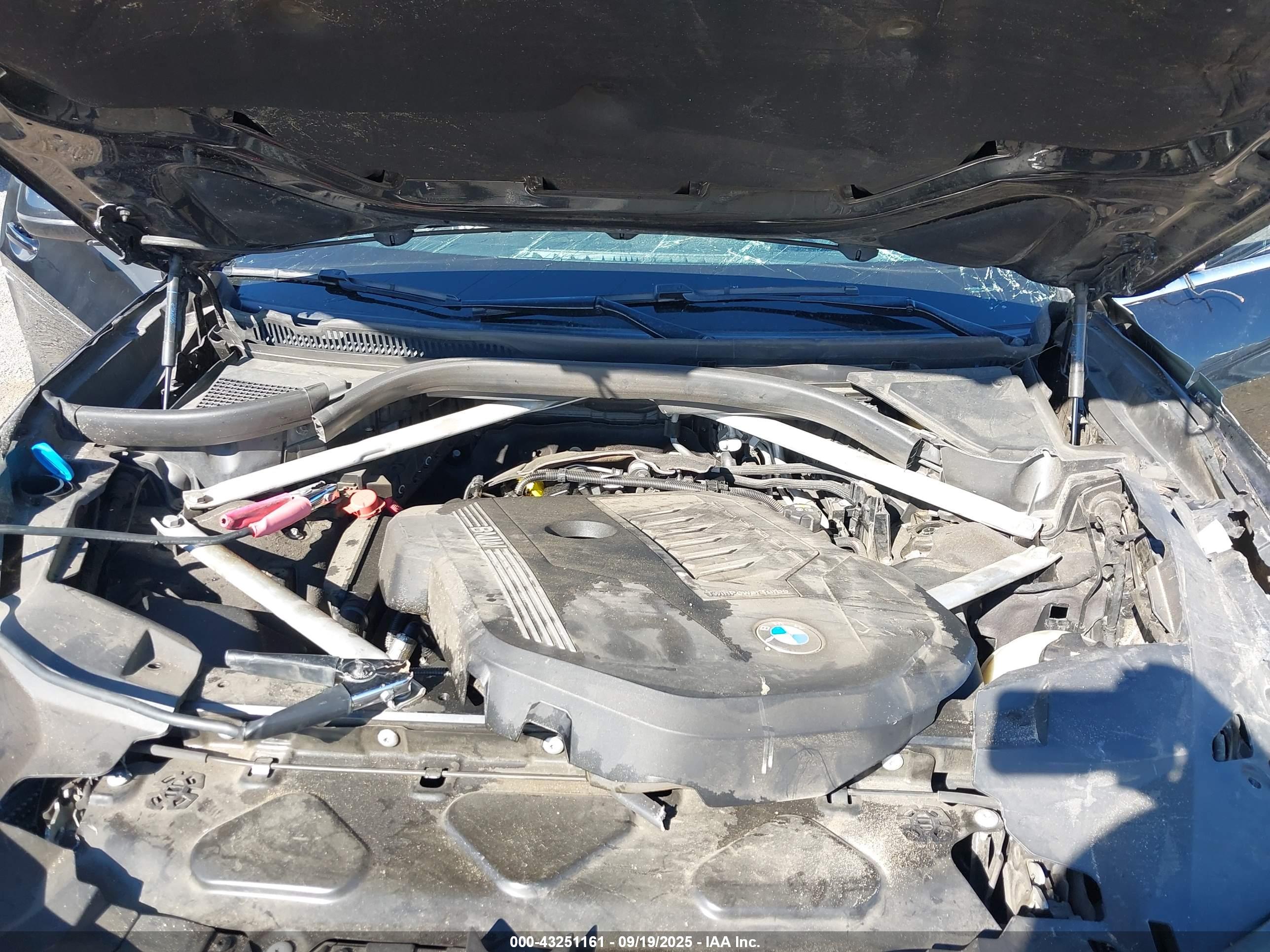 BMW X7 image 10