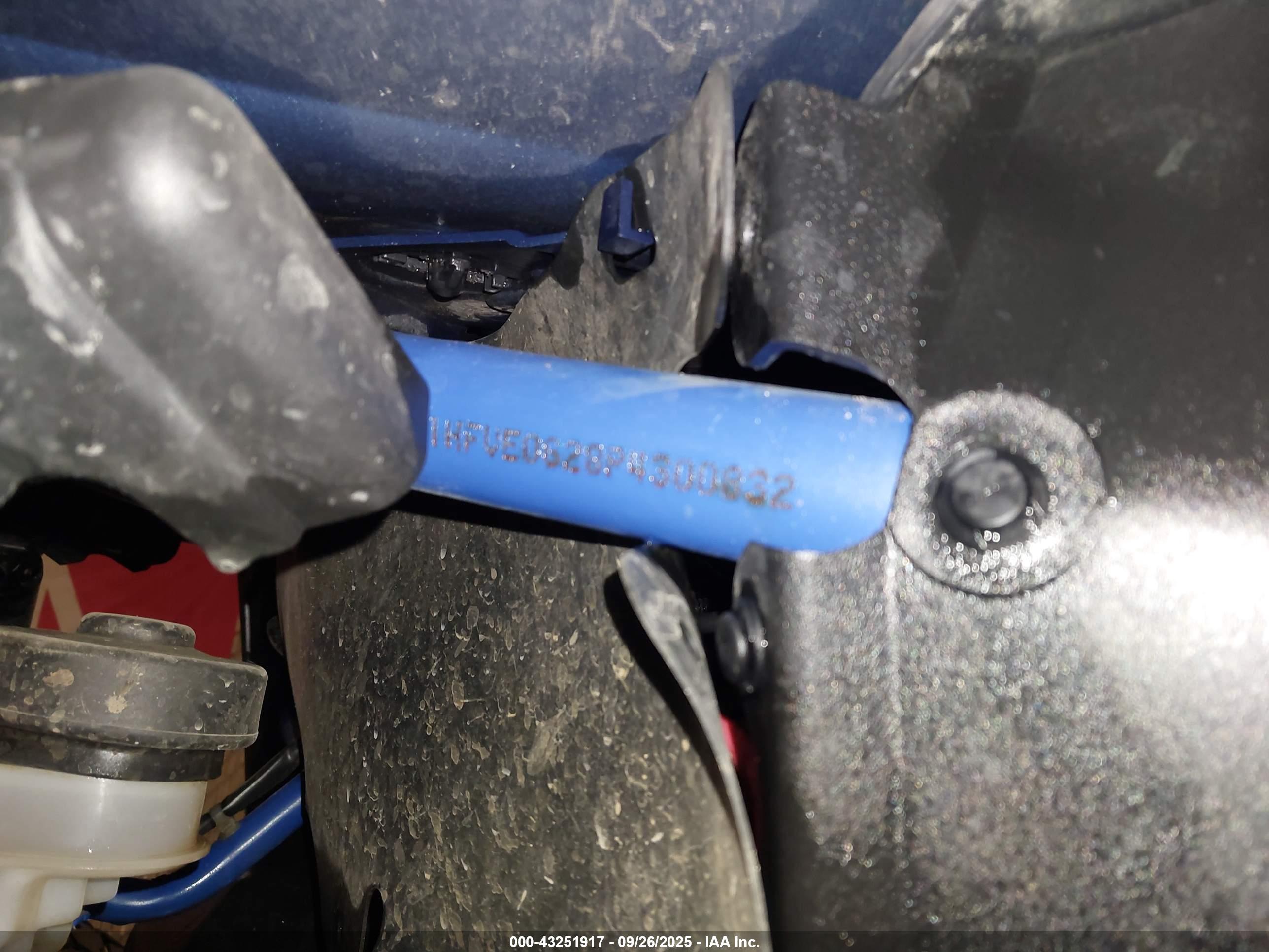 HONDA SXS1000 image 9