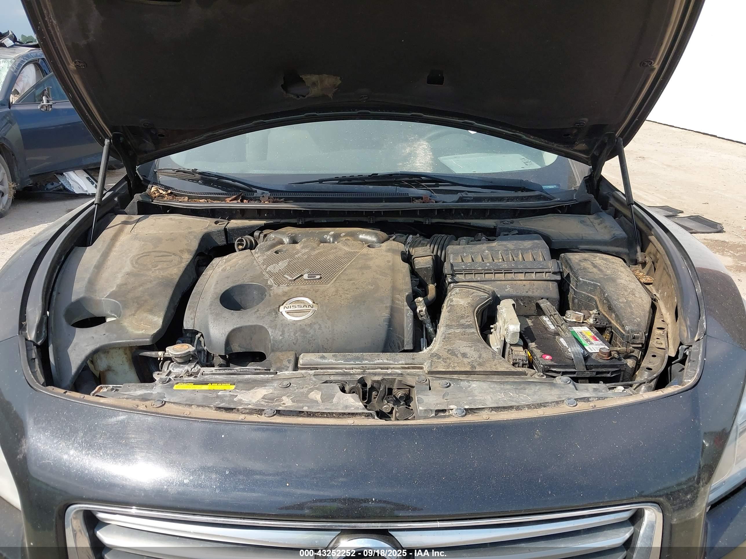 NISSAN MAXIMA image 10