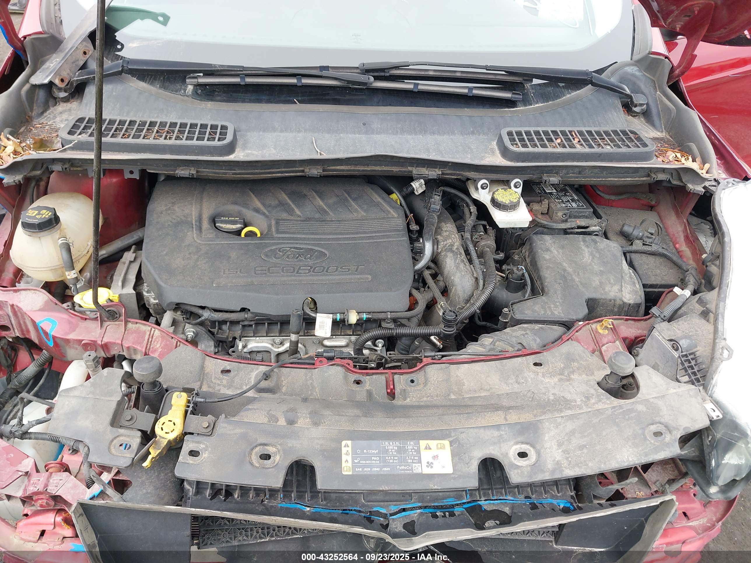 FORD ESCAPE image 10