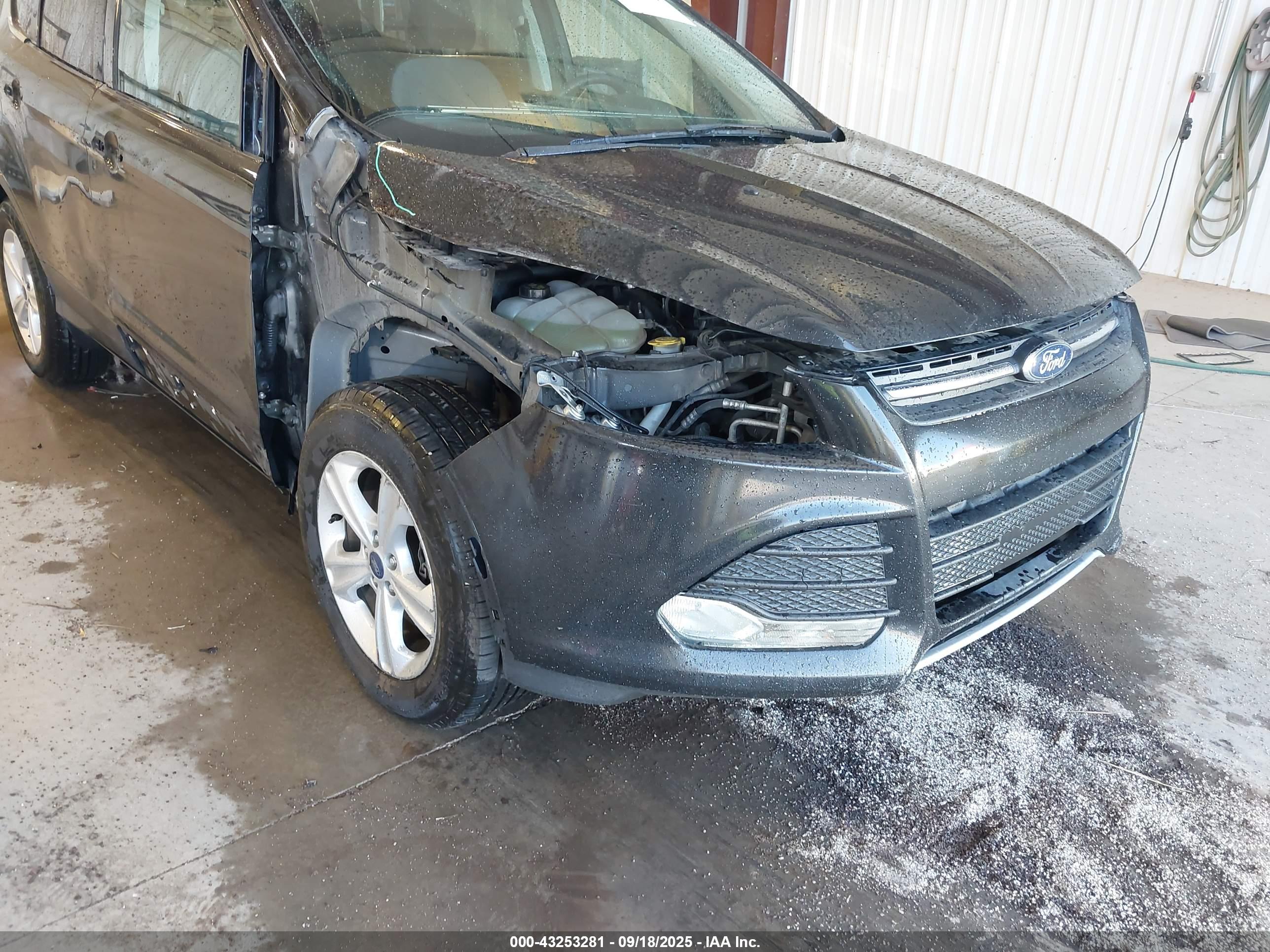 FORD ESCAPE image 6