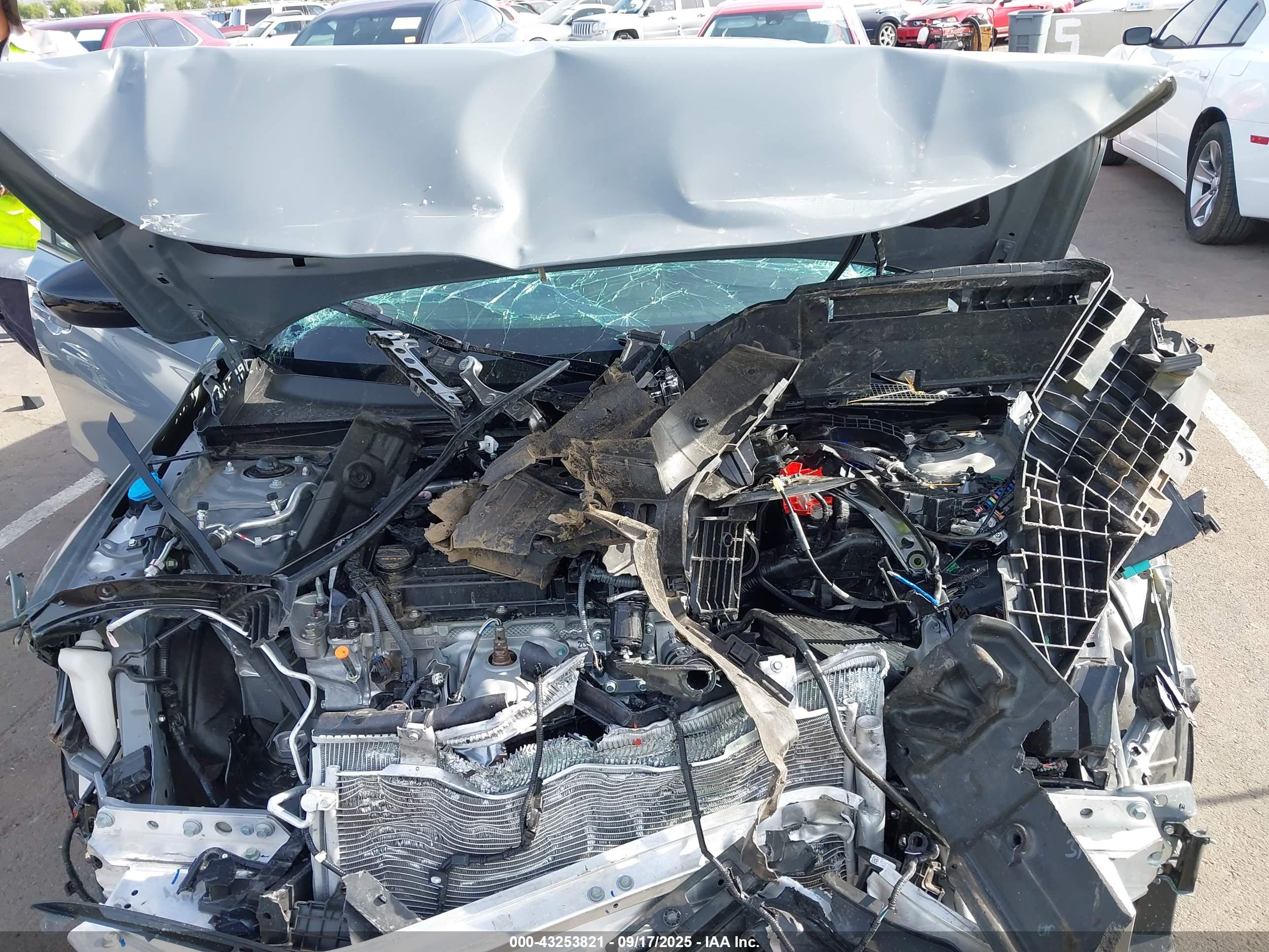 HONDA CIVIC image 10