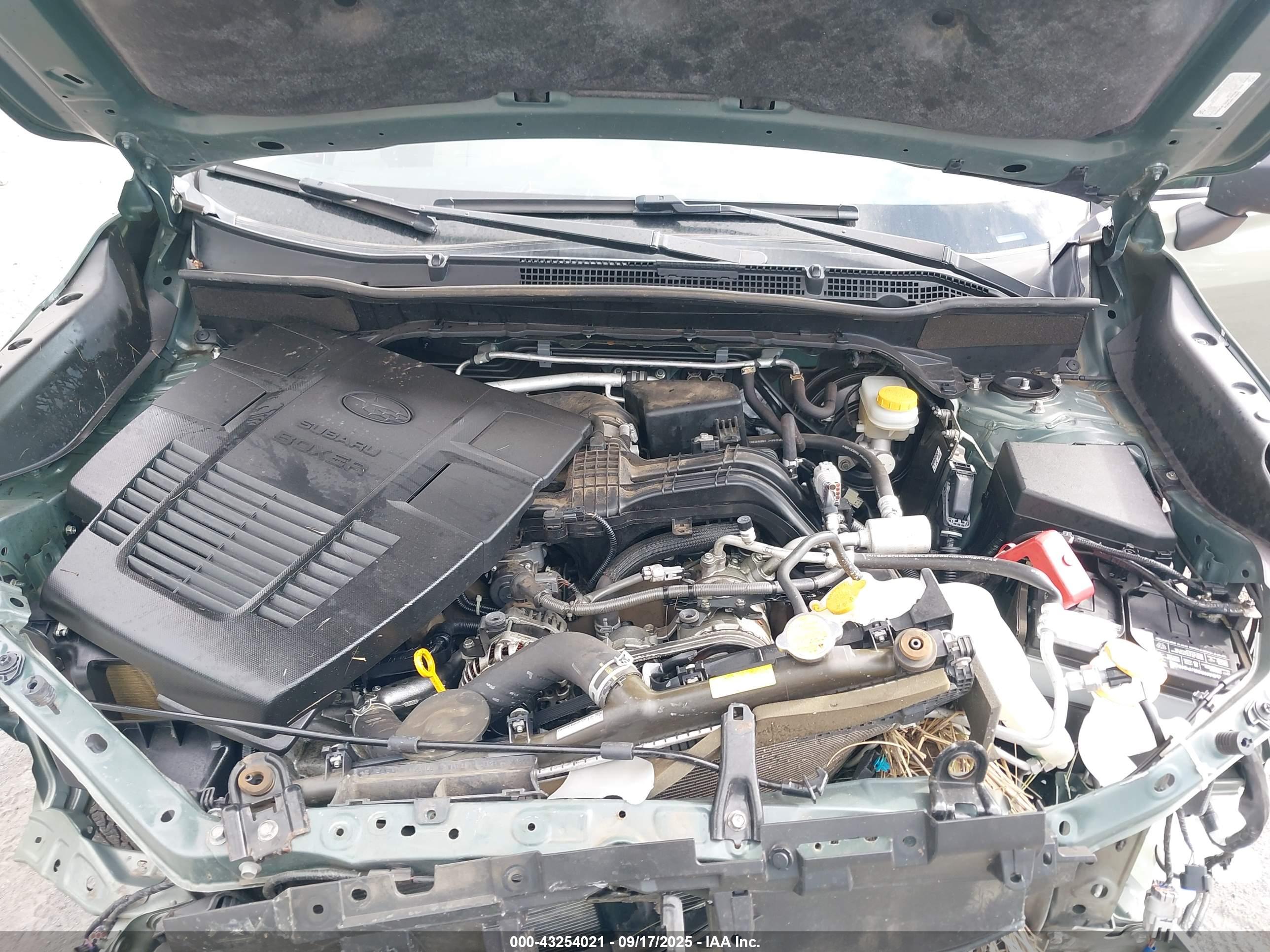 SUBARU FORESTER image 10