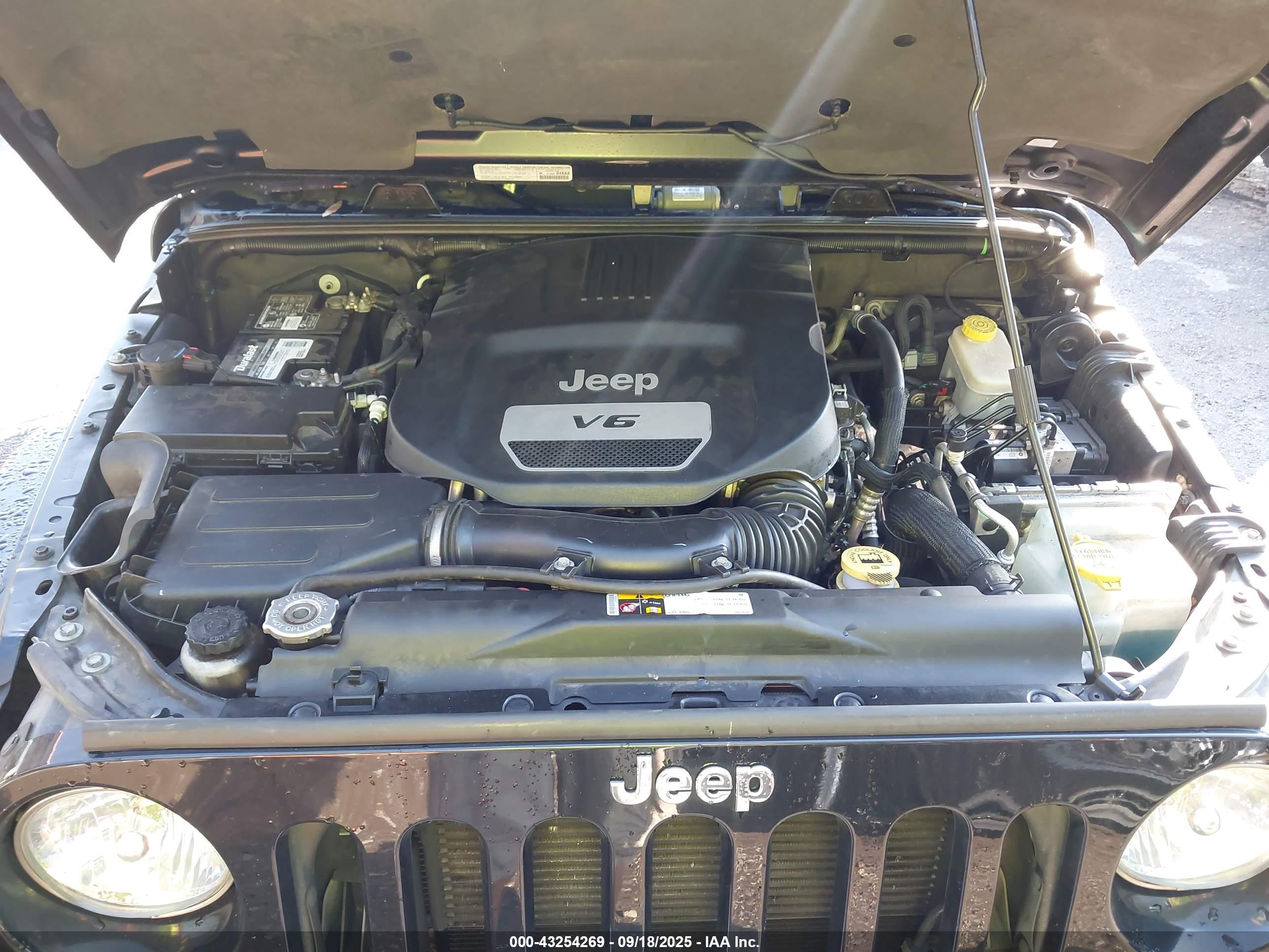 JEEP WRANGLER image 10