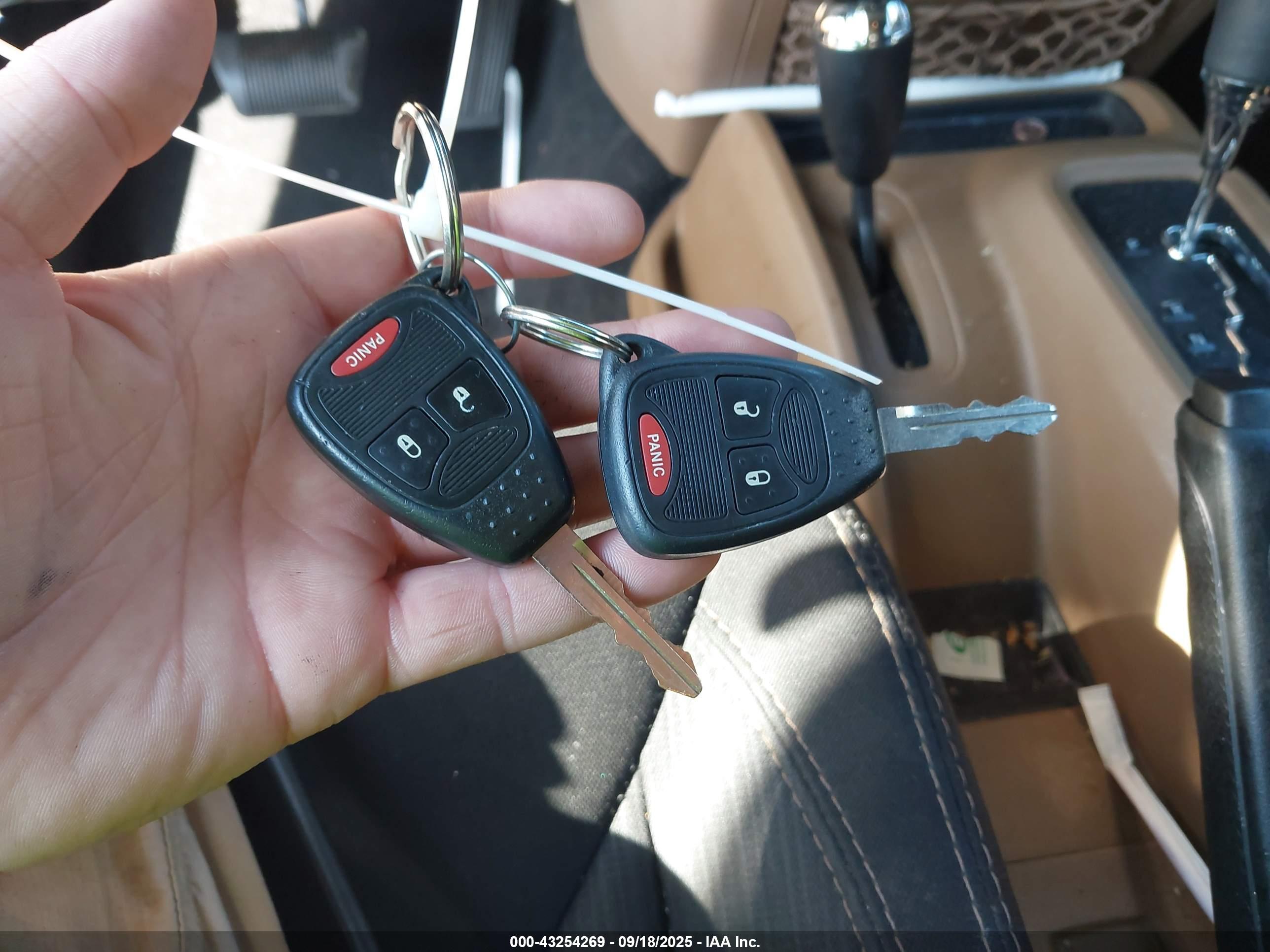 JEEP WRANGLER image 11
