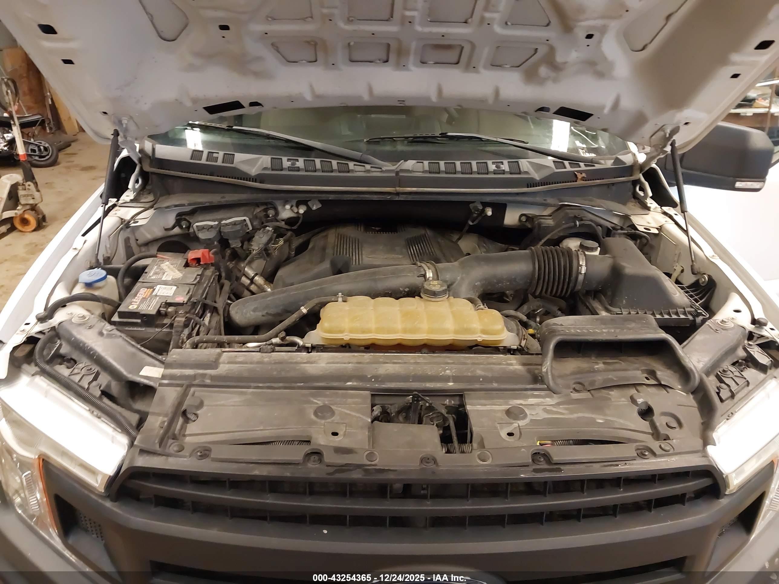 FORD F-150 image 10