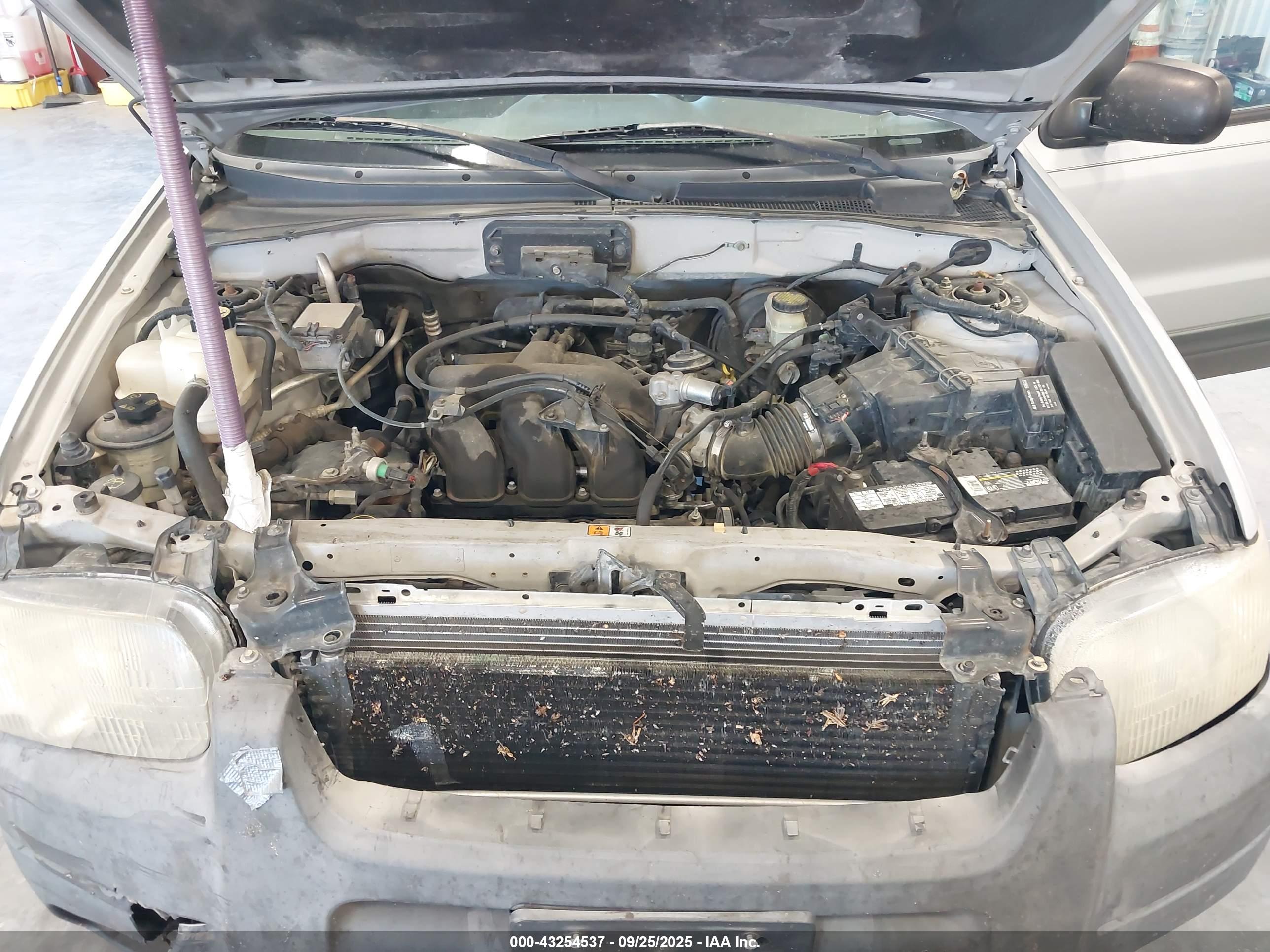 FORD ESCAPE image 10