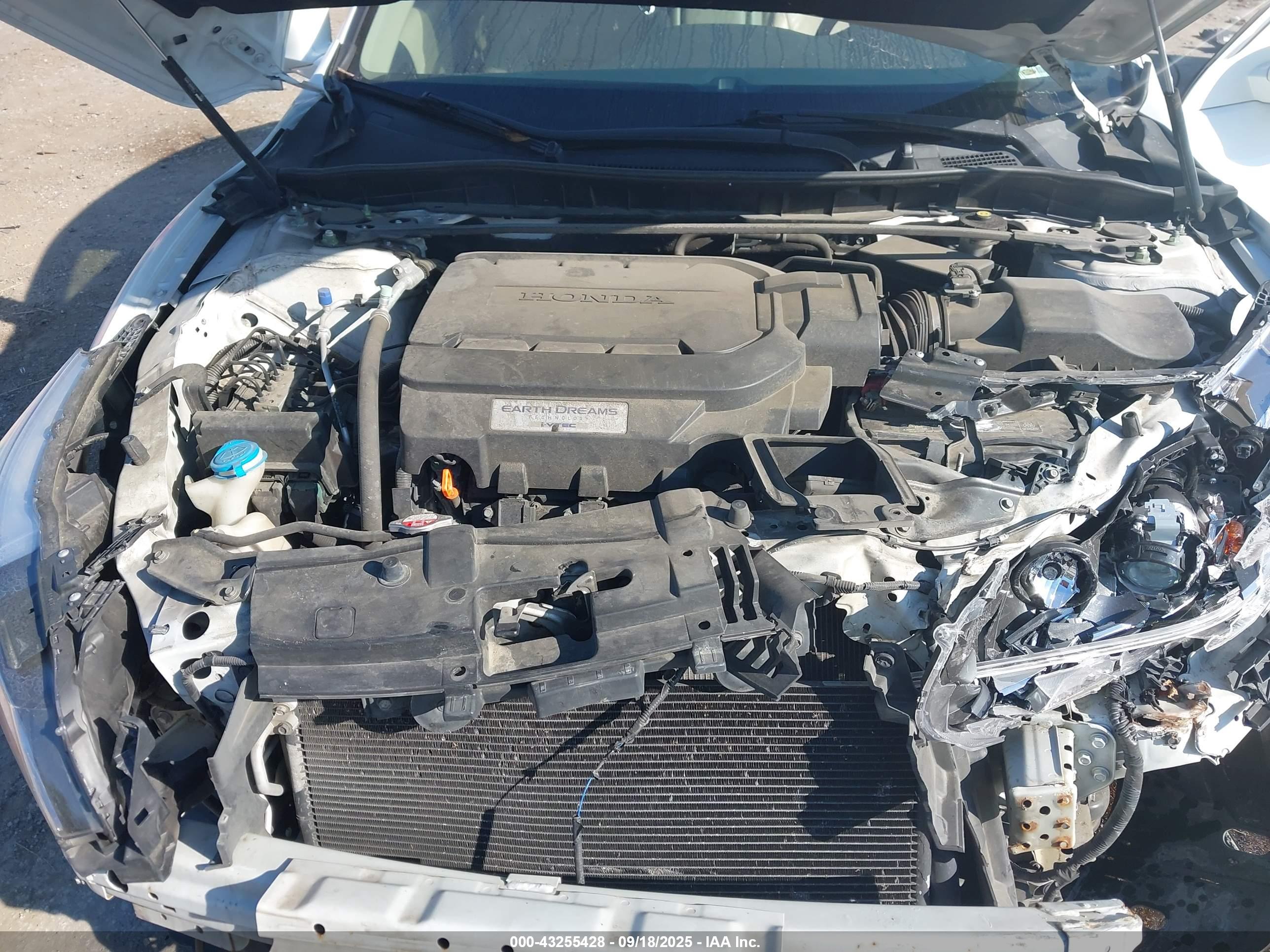 HONDA ACCORD image 10