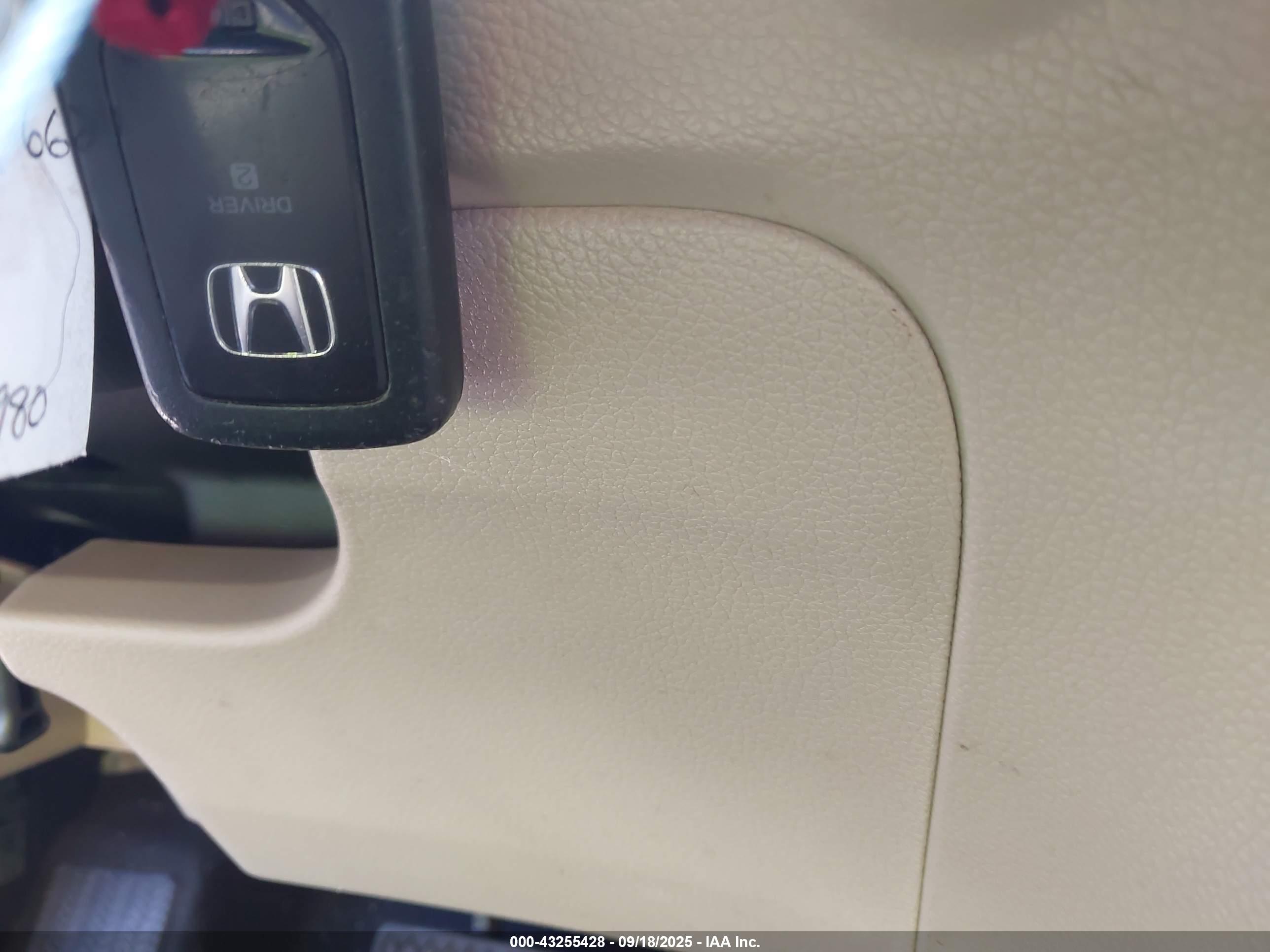 HONDA ACCORD image 11