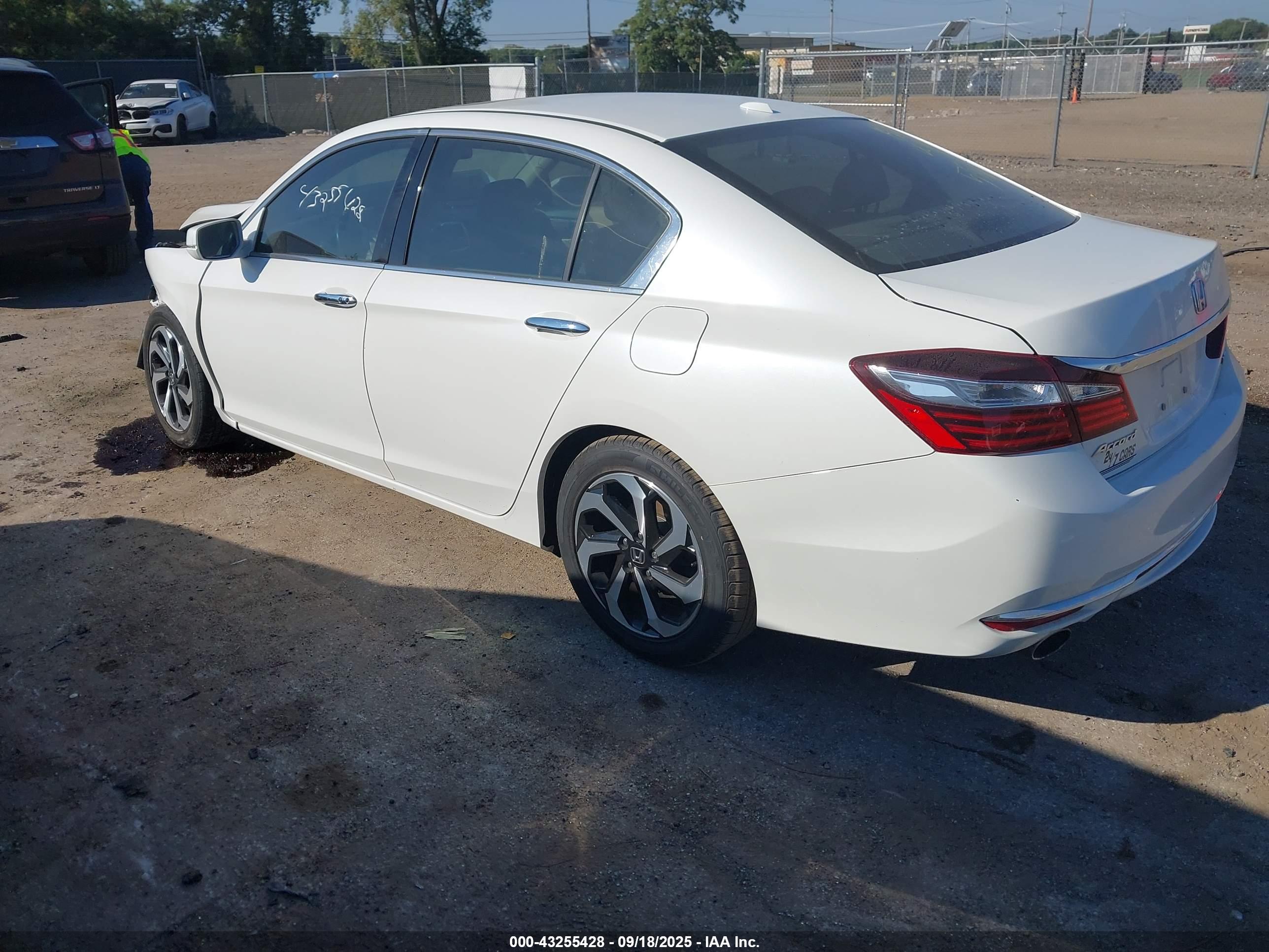 HONDA ACCORD image 3