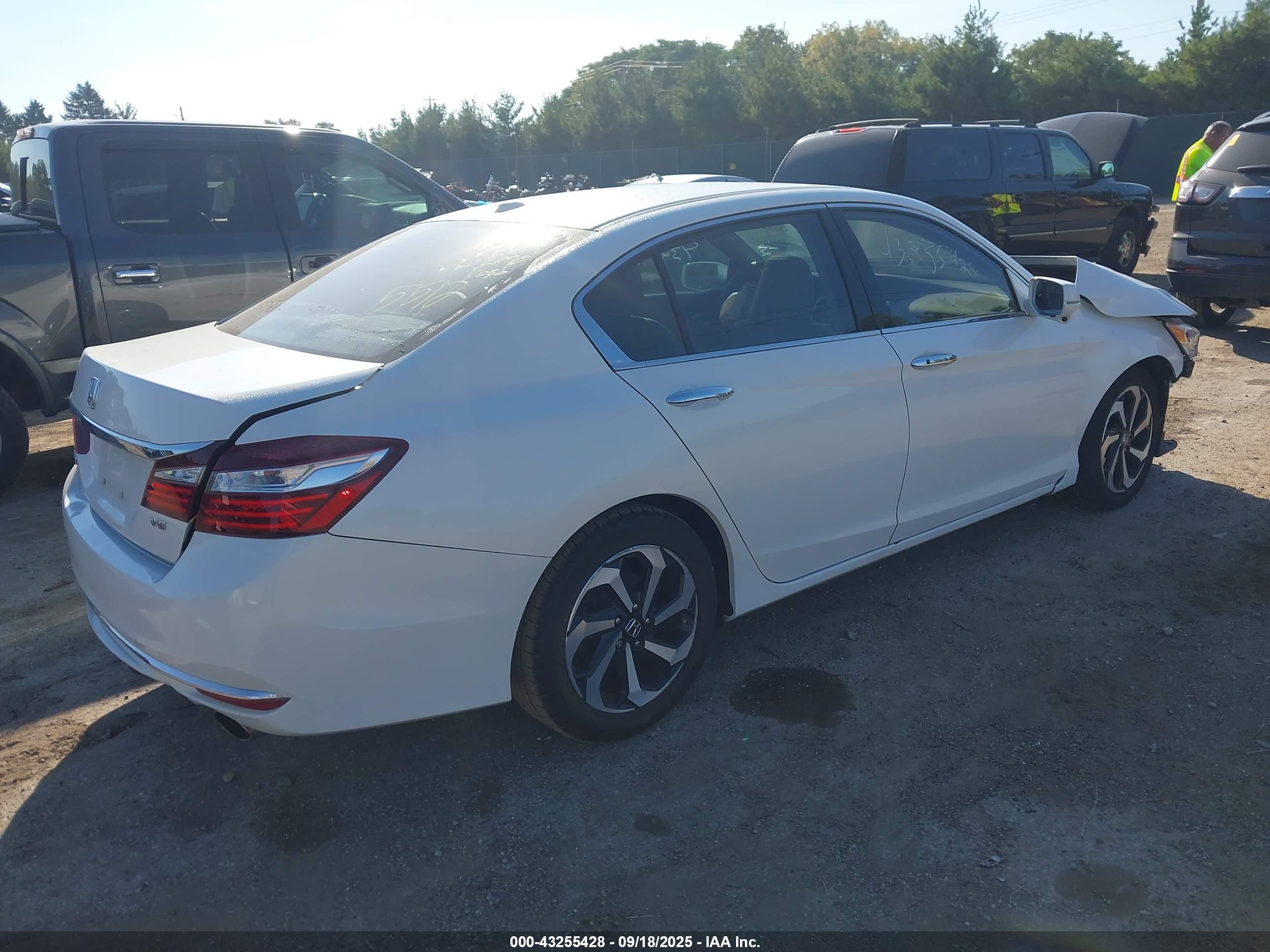 HONDA ACCORD image 4