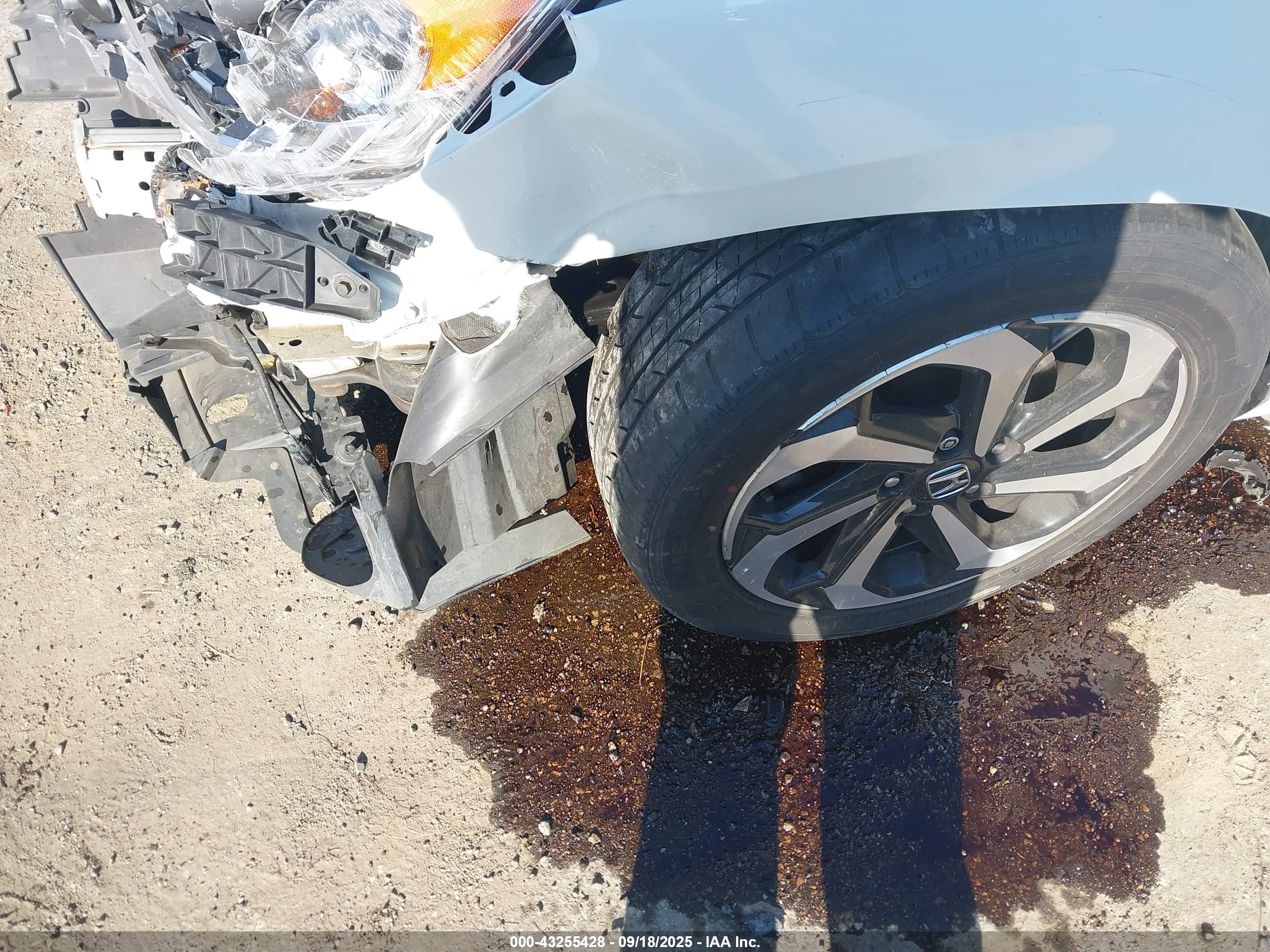 HONDA ACCORD image 6