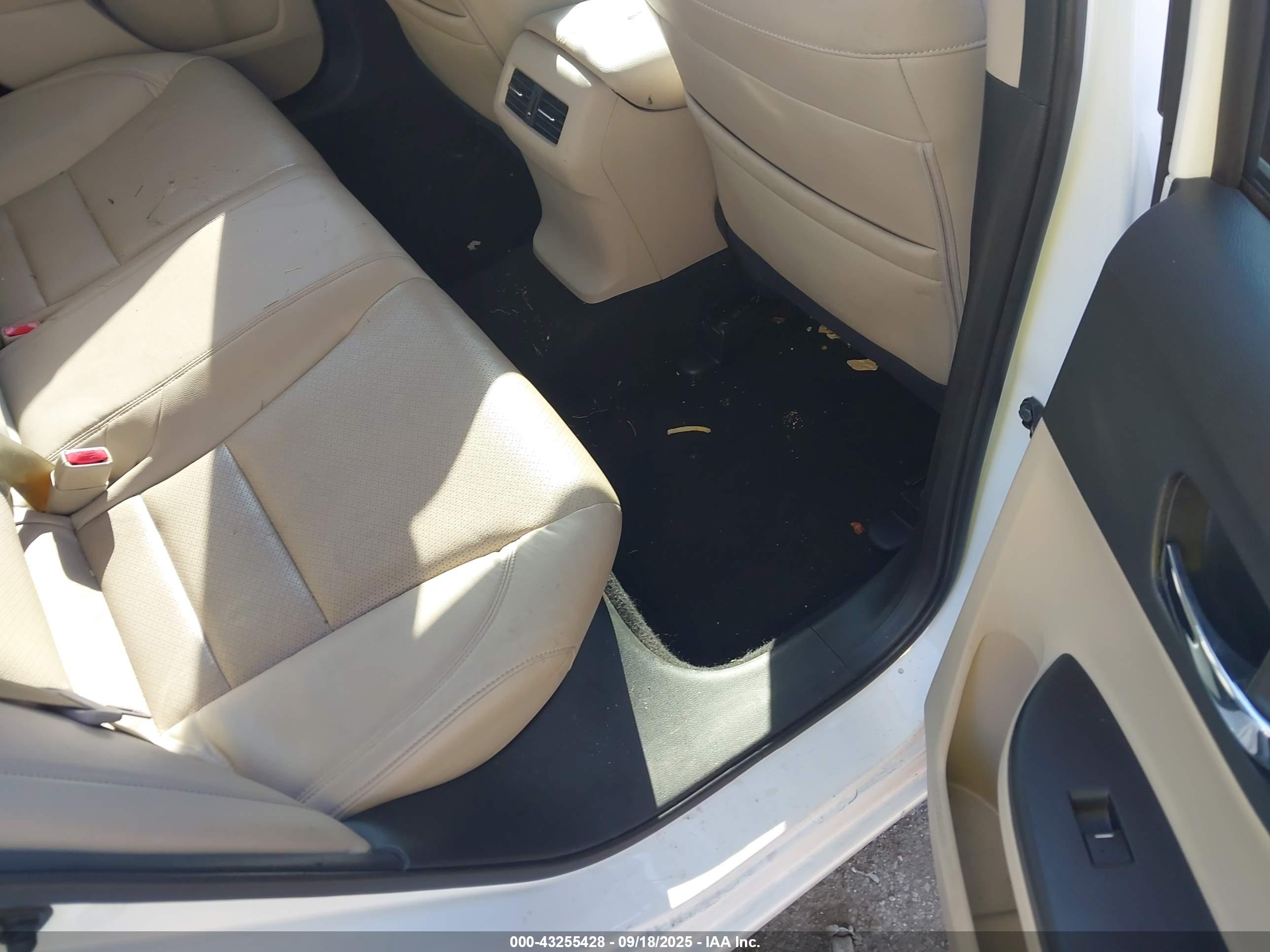 HONDA ACCORD image 8