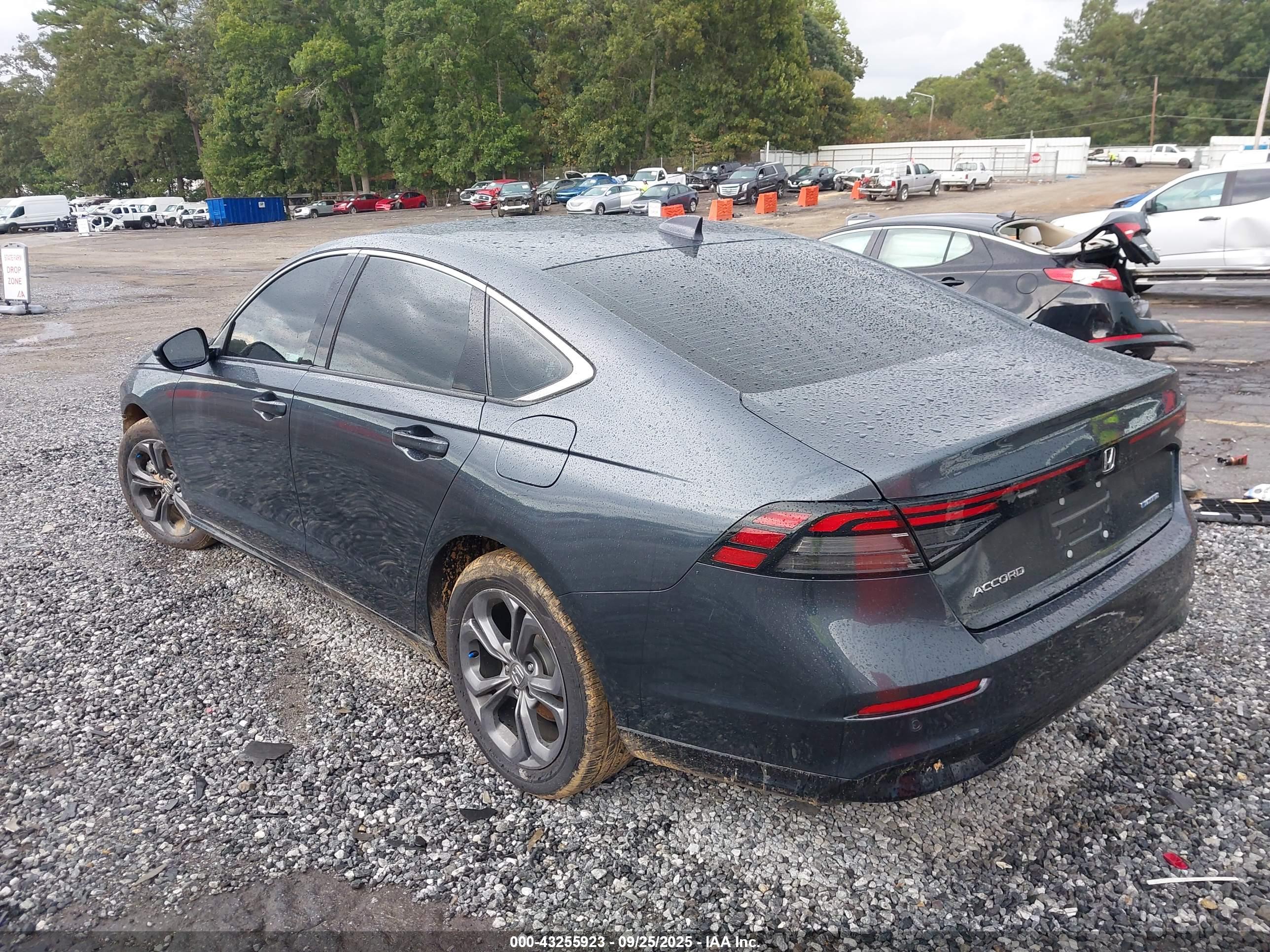 HONDA ACCORD image 3