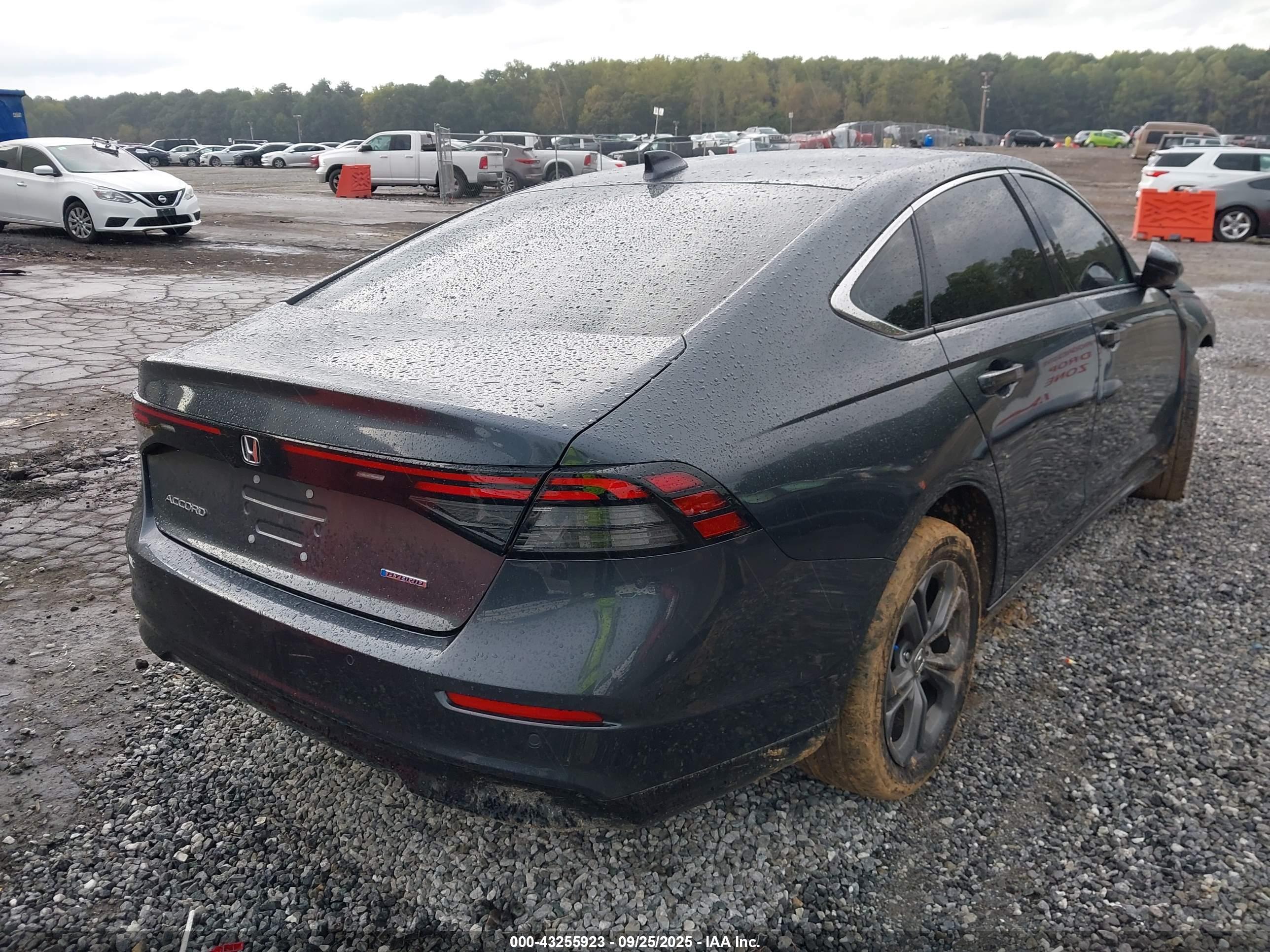 HONDA ACCORD image 4