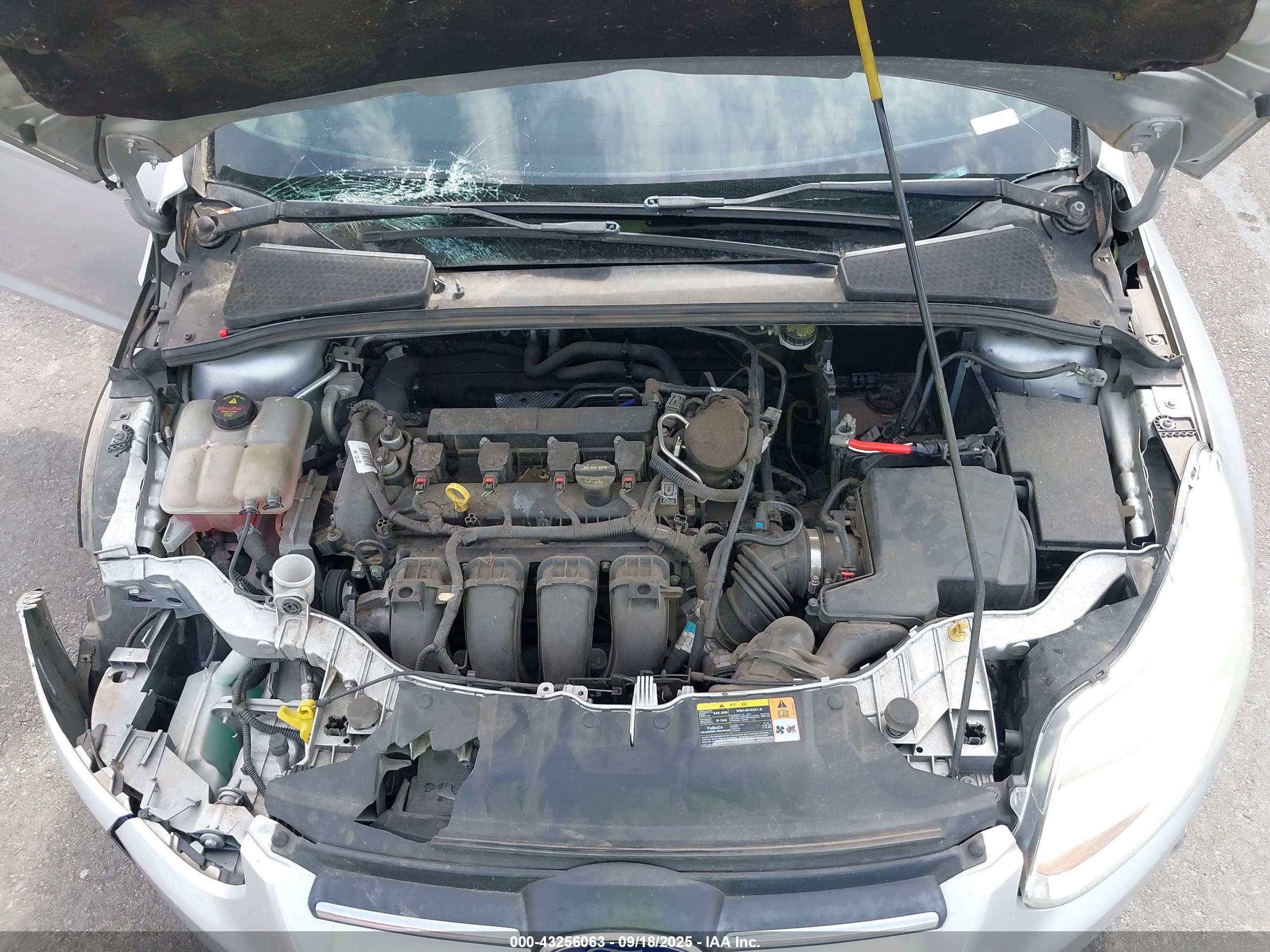 FORD FOCUS image 10