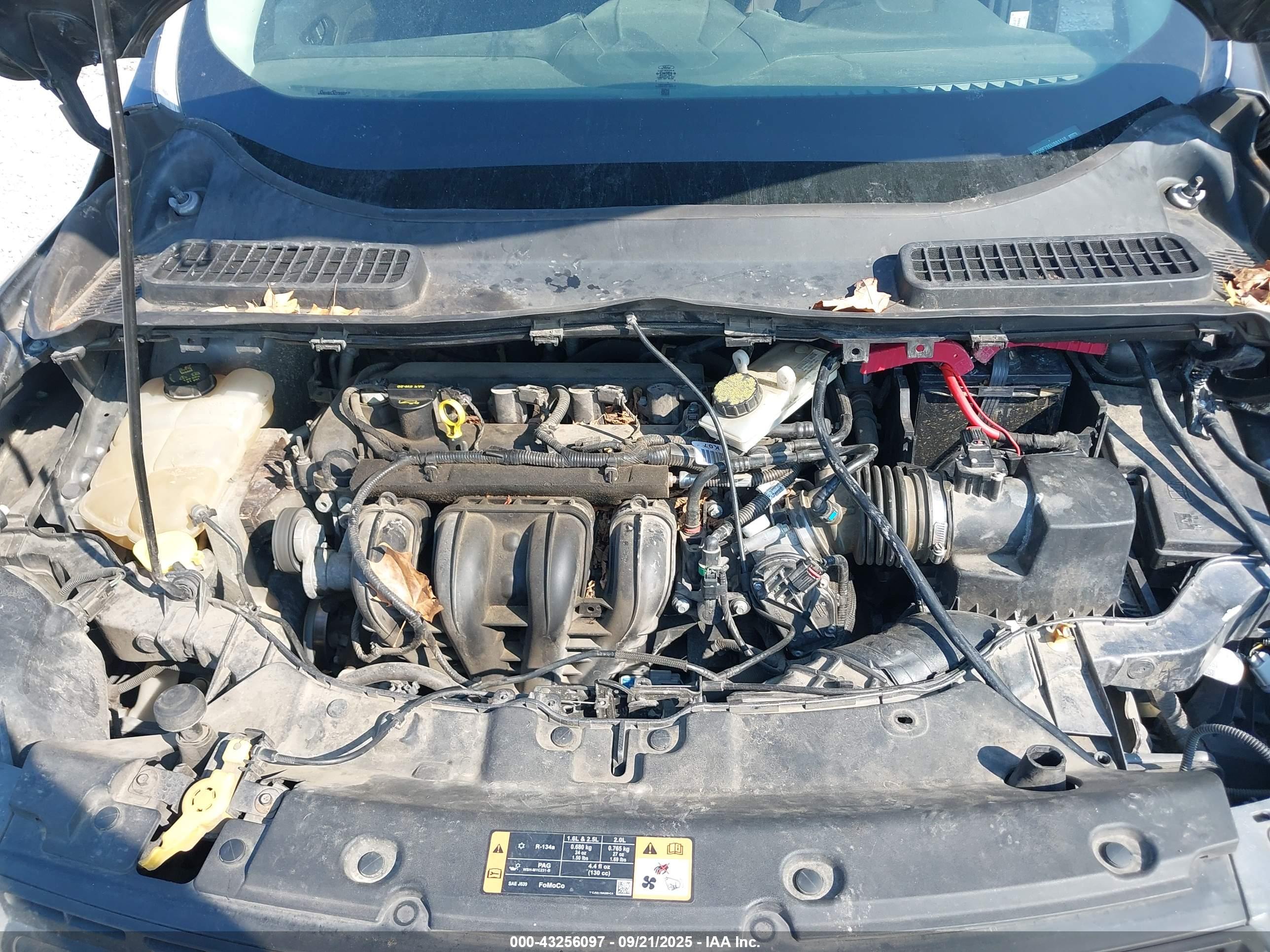 FORD ESCAPE image 10