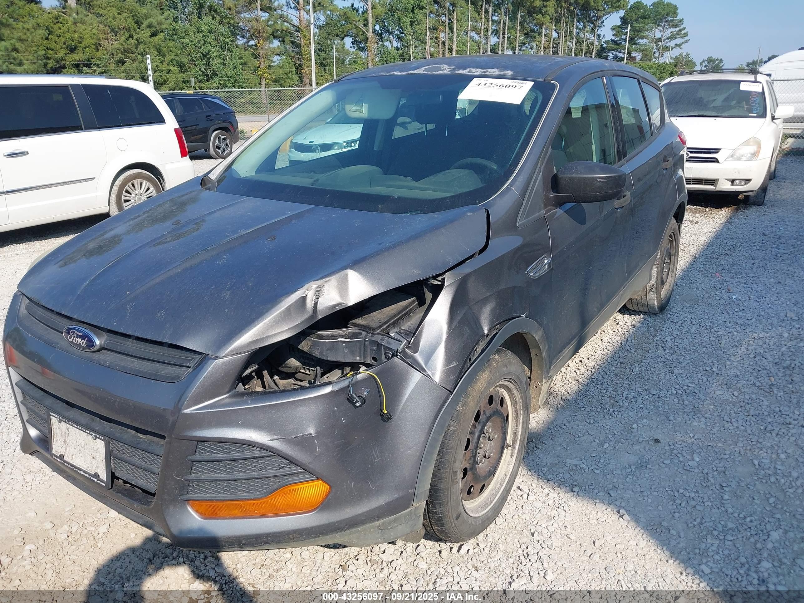 FORD ESCAPE image 6