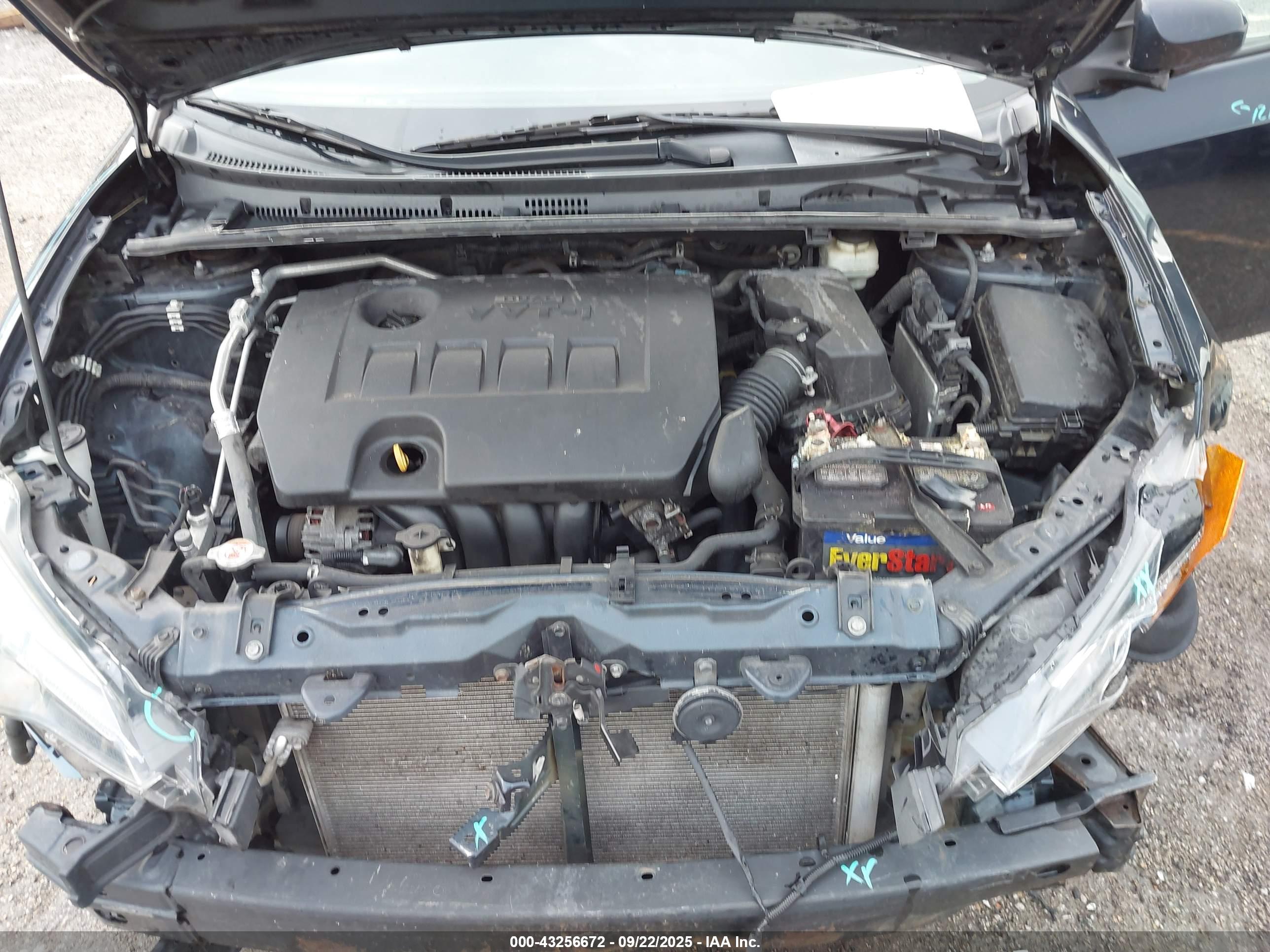 TOYOTA COROLLA image 10