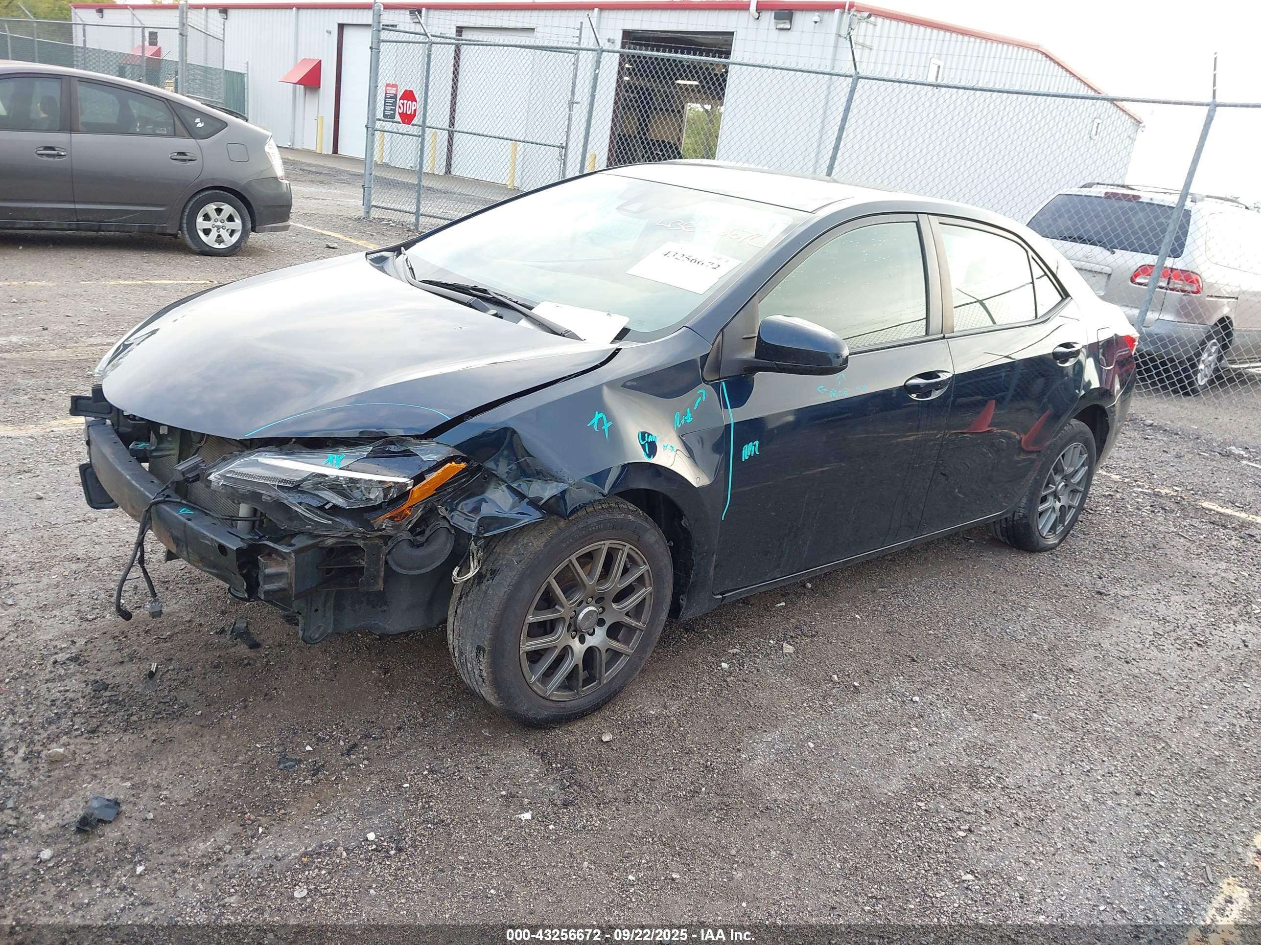 TOYOTA COROLLA image 2