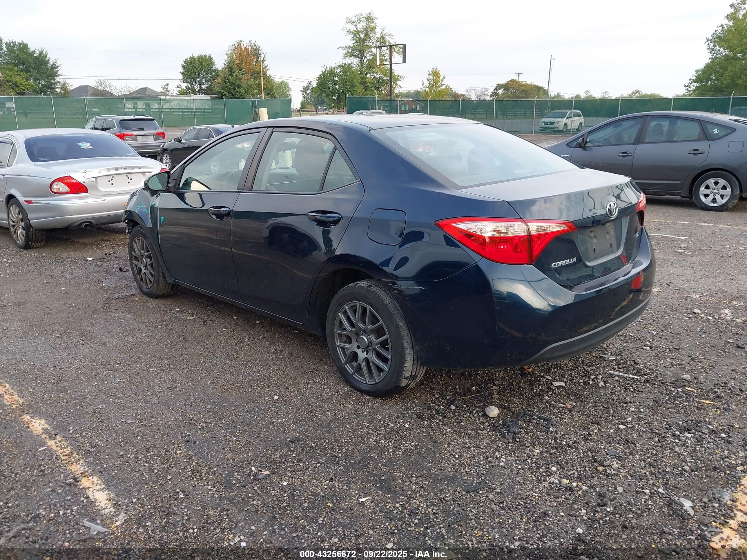 TOYOTA COROLLA image 3