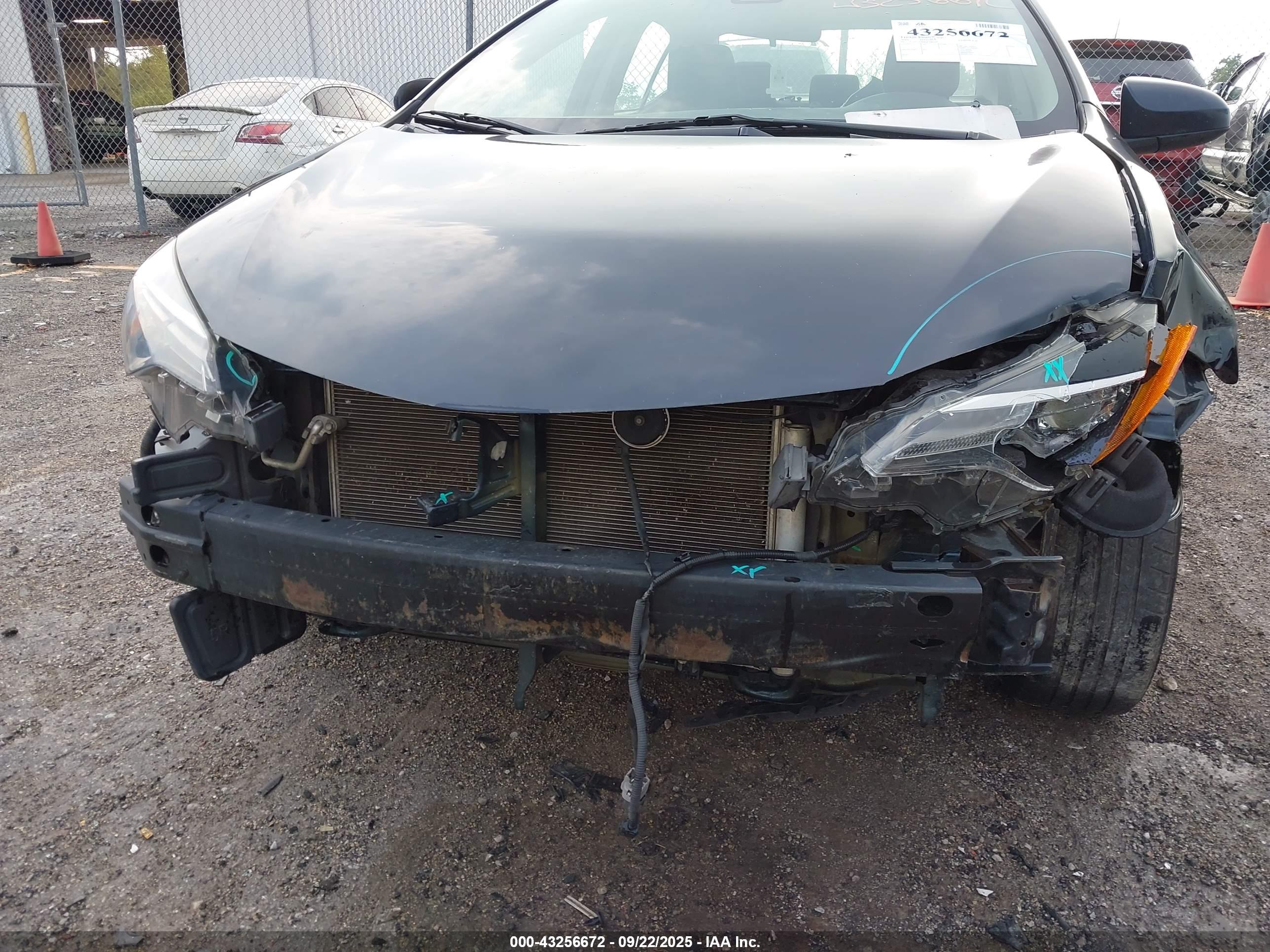 TOYOTA COROLLA image 6