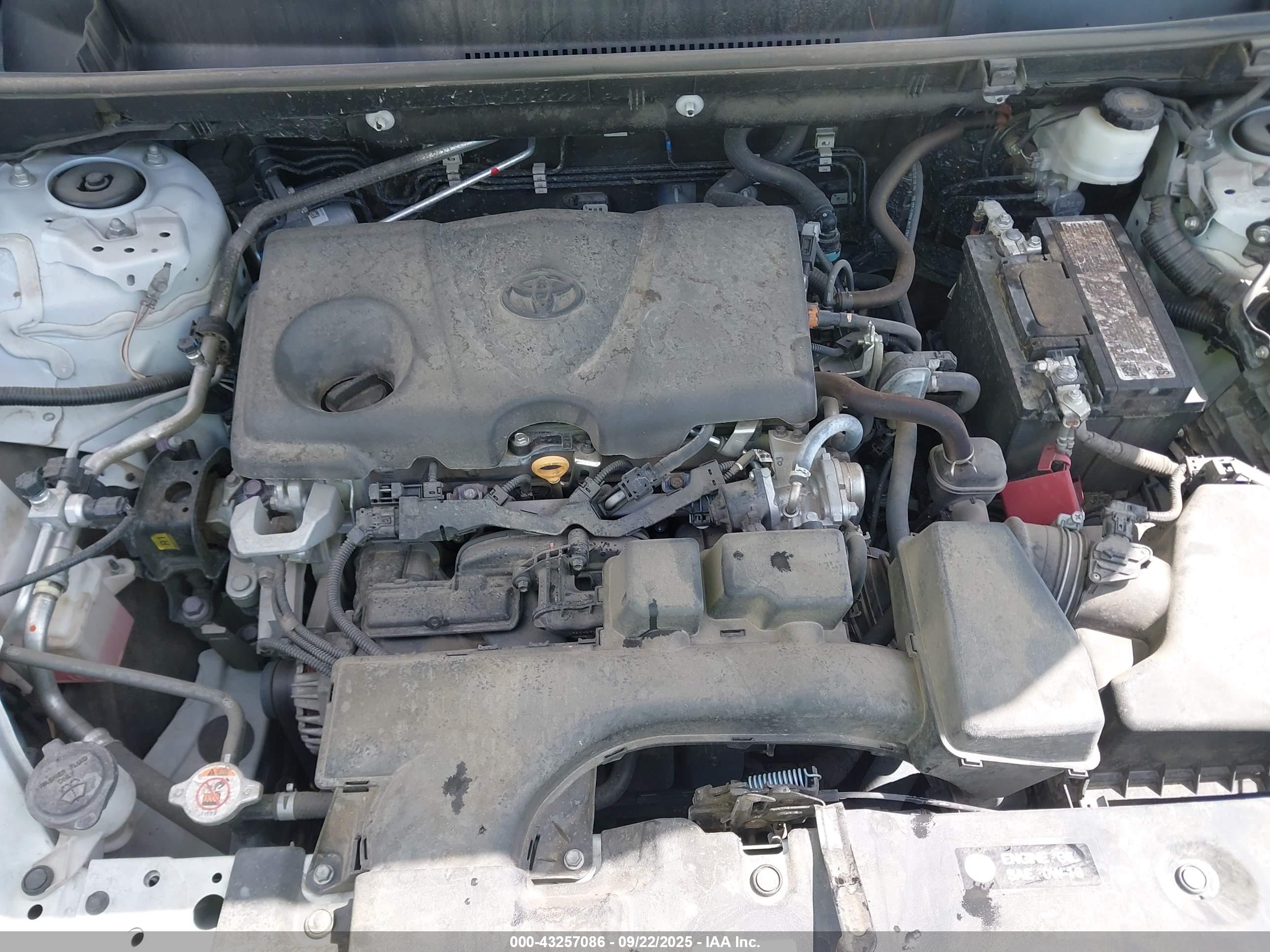 TOYOTA RAV4 image 10