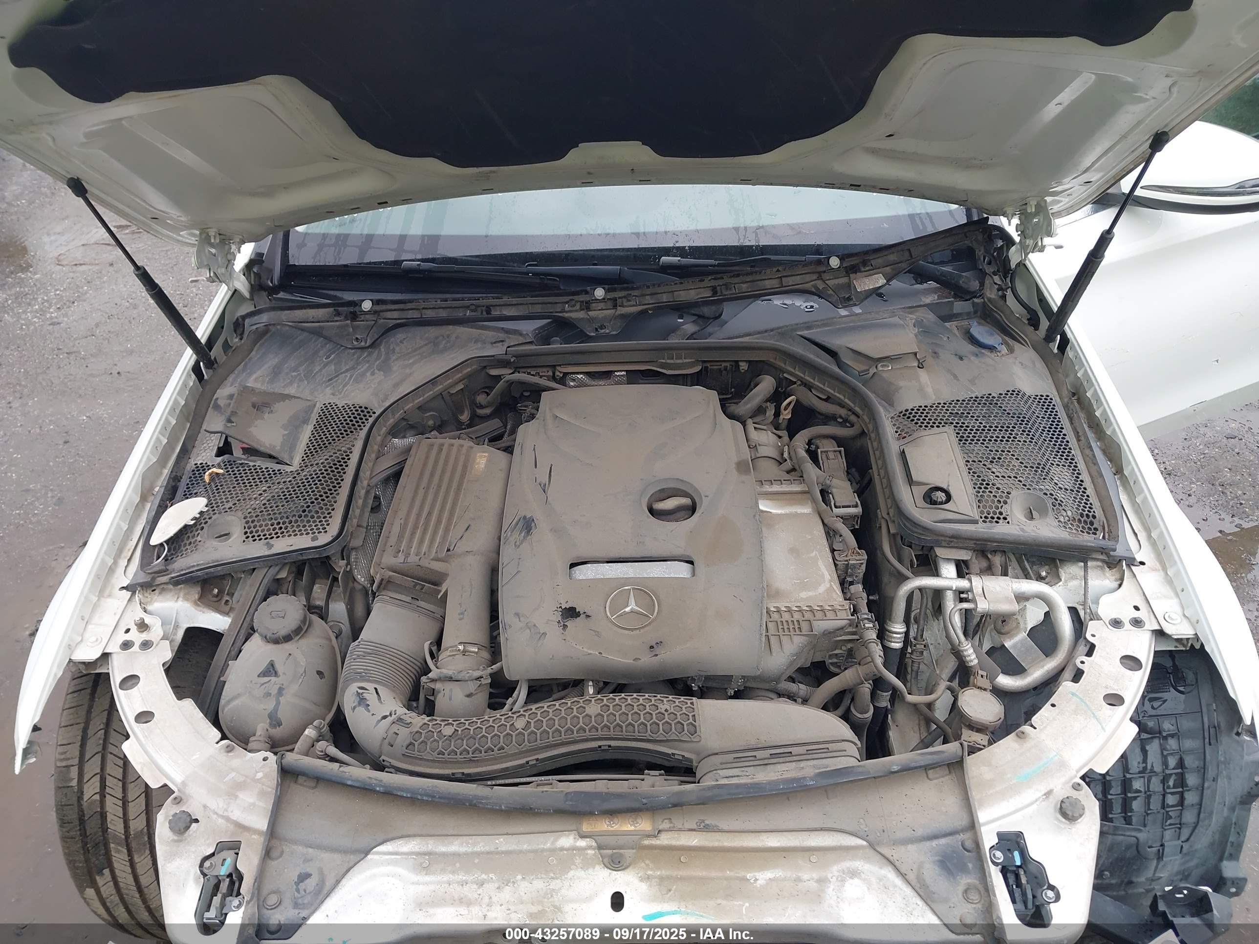 MERCEDES-BENZ C image 10