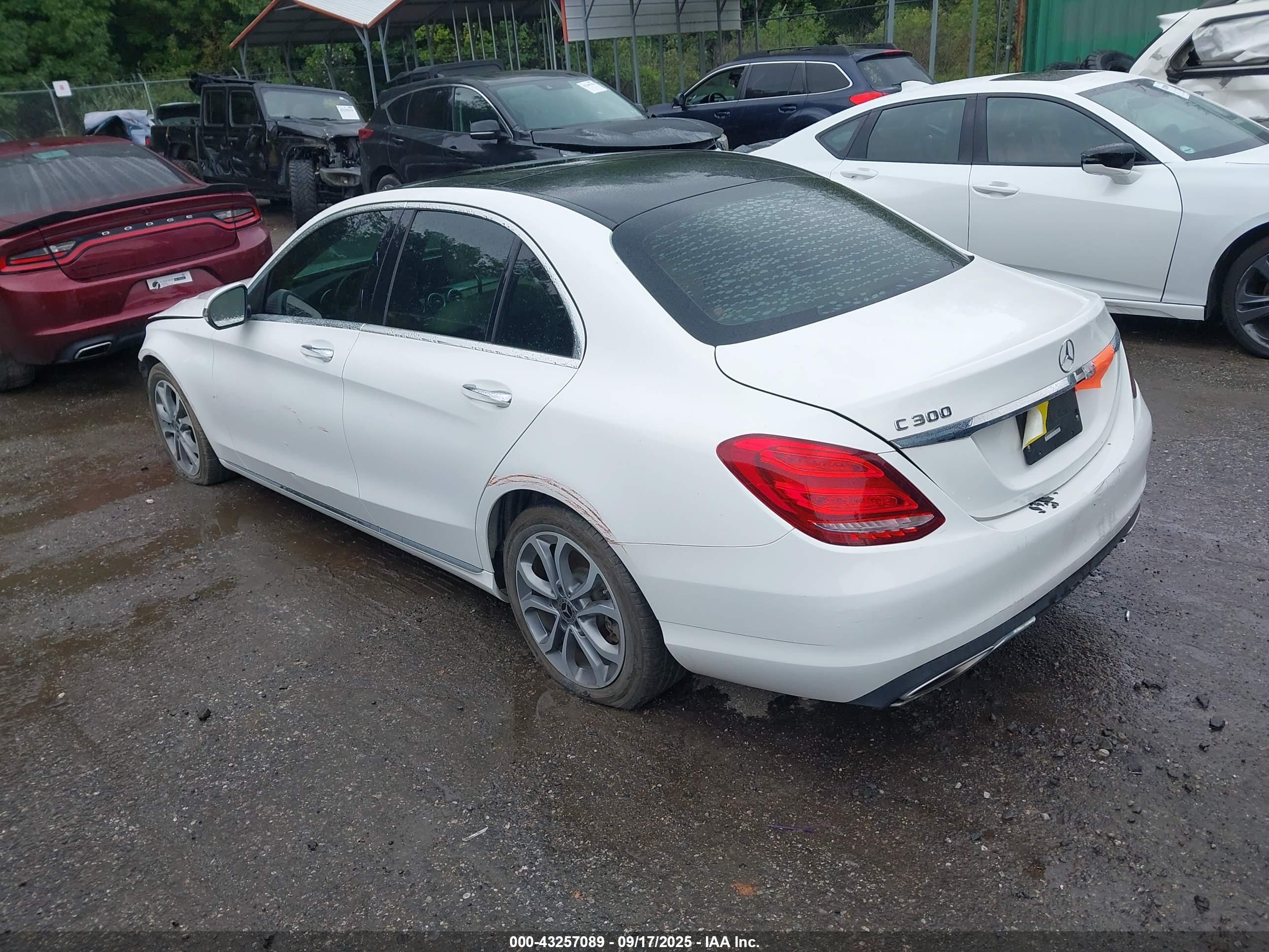 MERCEDES-BENZ C image 3