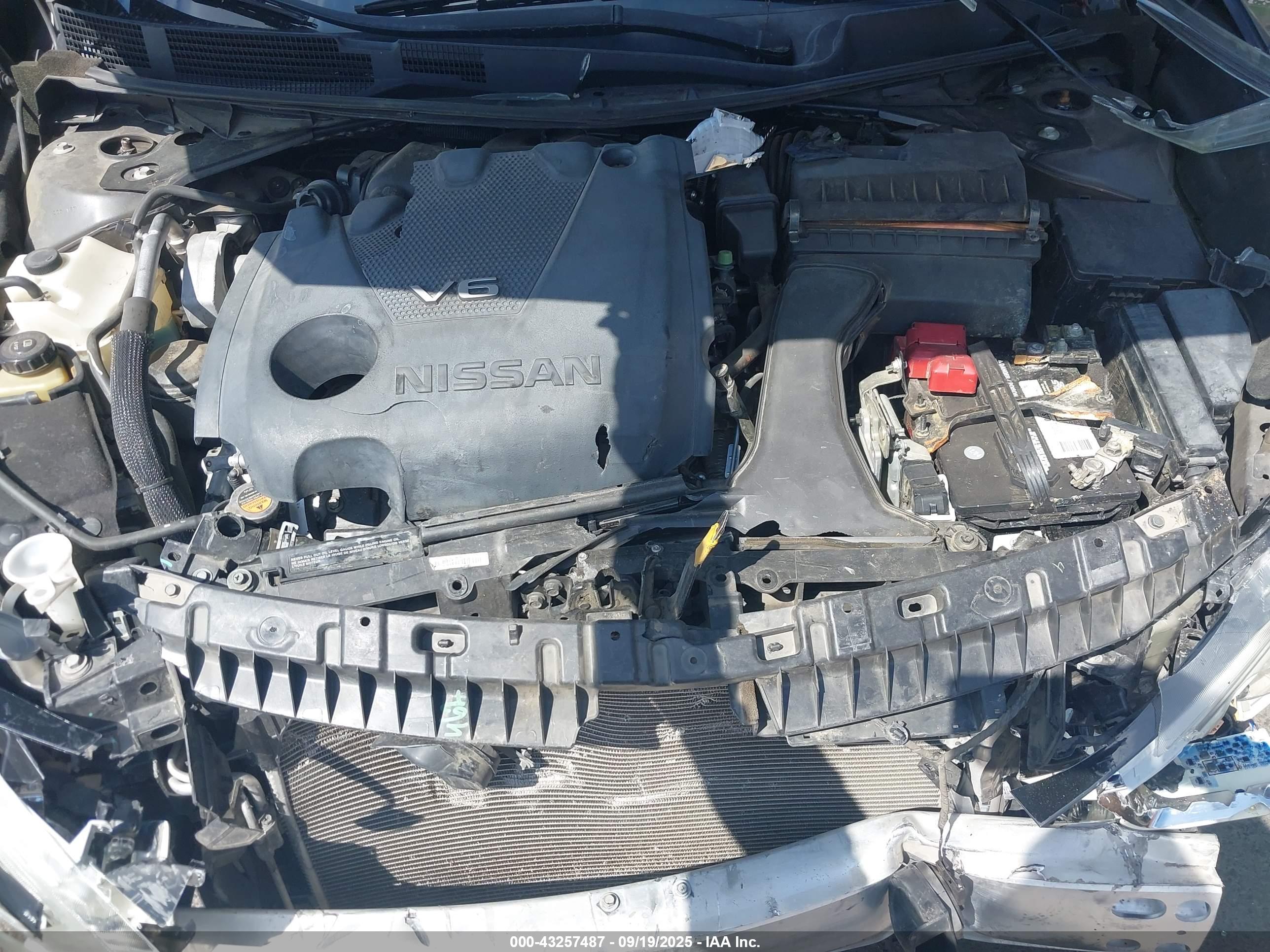 NISSAN MAXIMA image 10