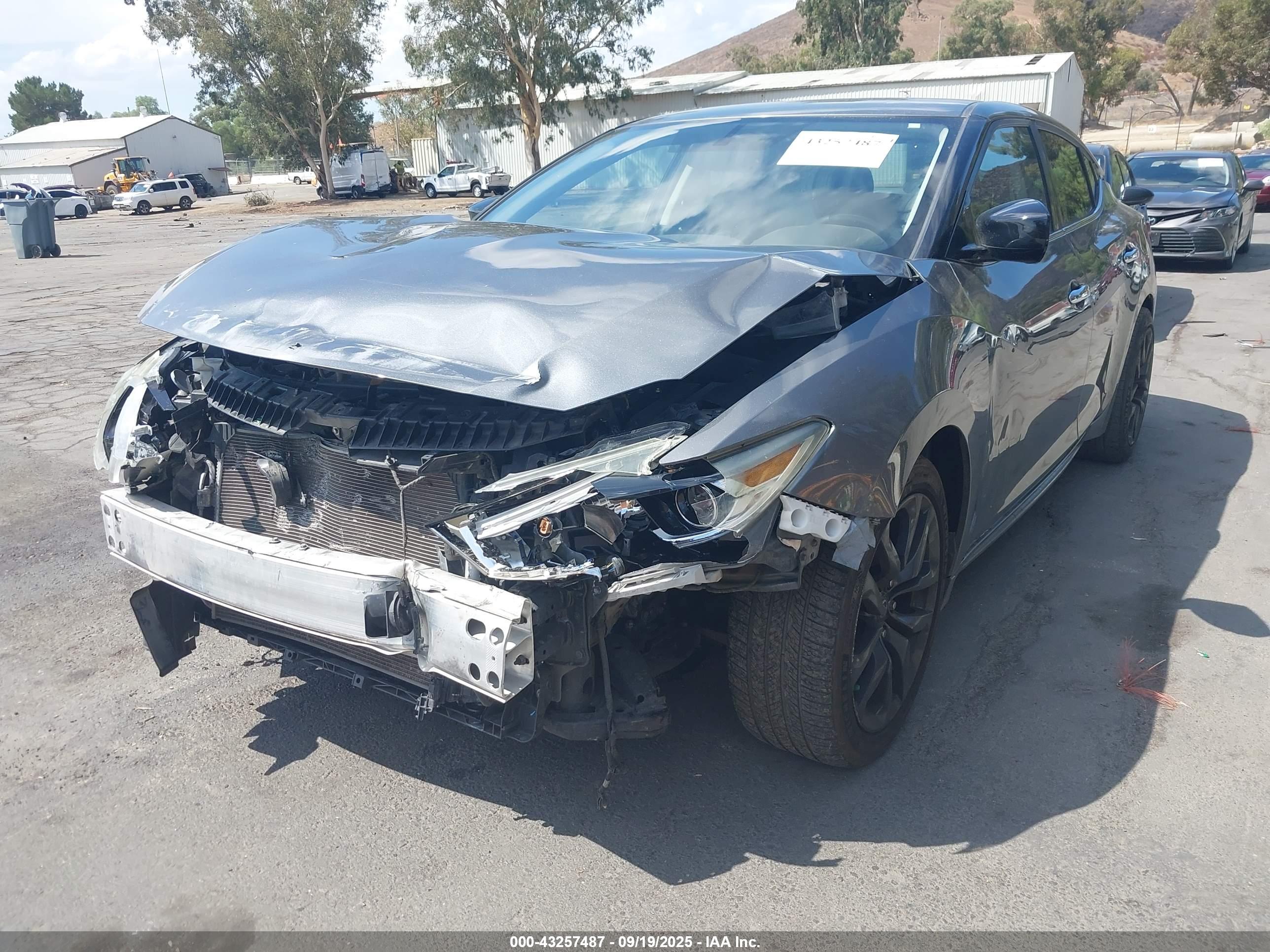 NISSAN MAXIMA image 2