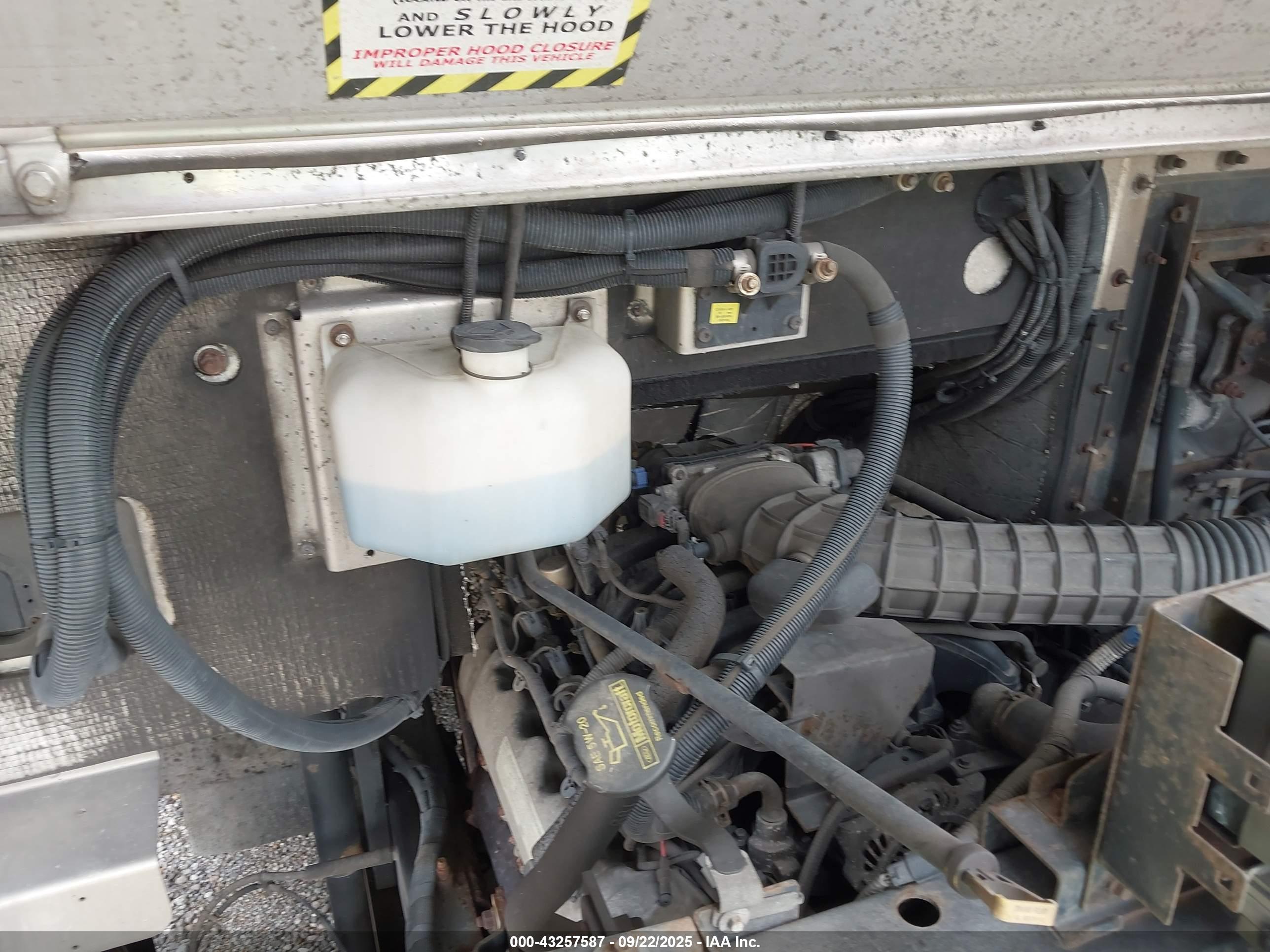 FORD F-59 image 10