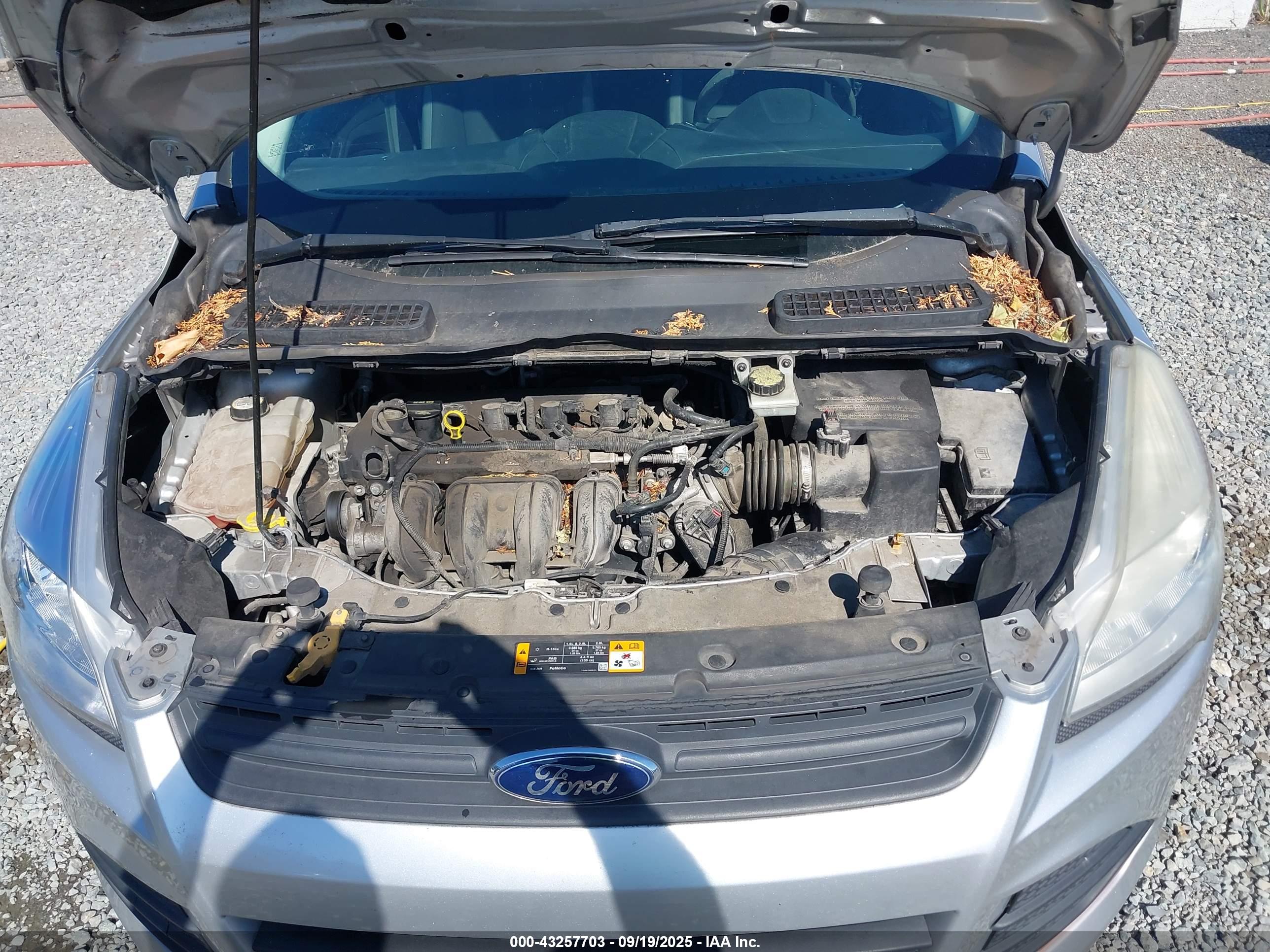 FORD ESCAPE image 10