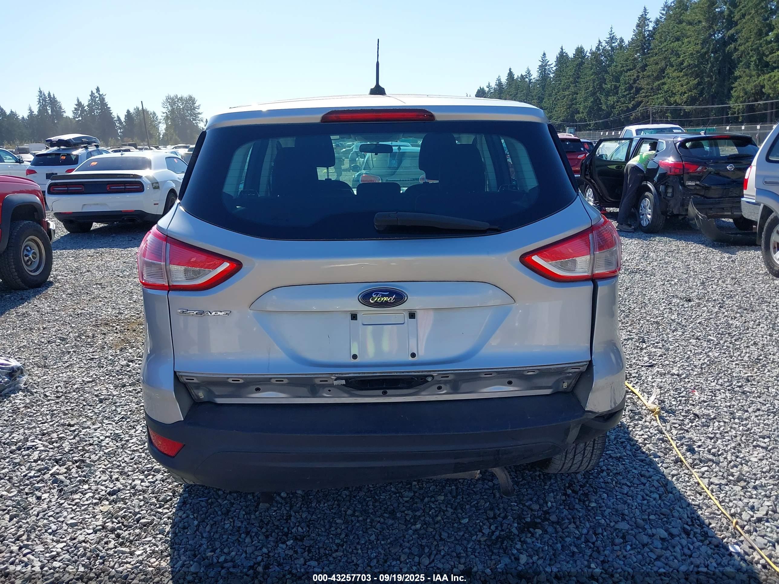 FORD ESCAPE image 6