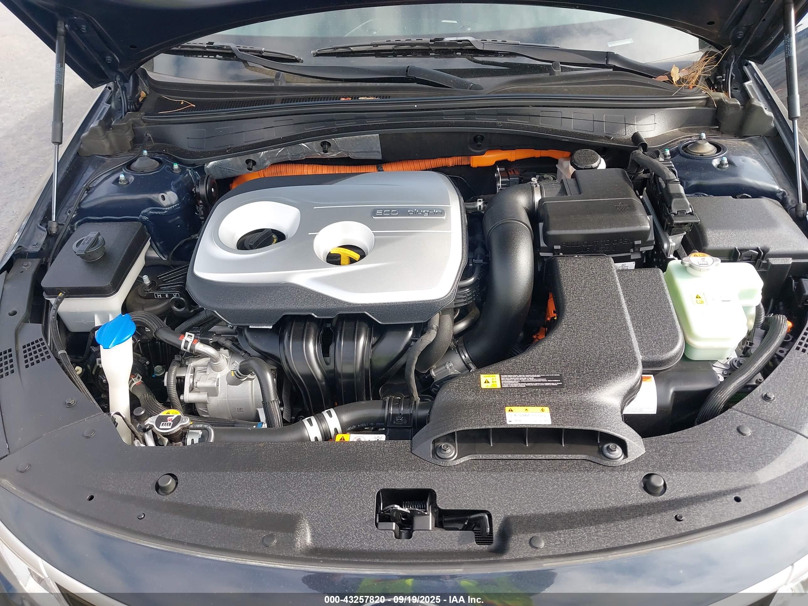 KIA OPTIMA image 10