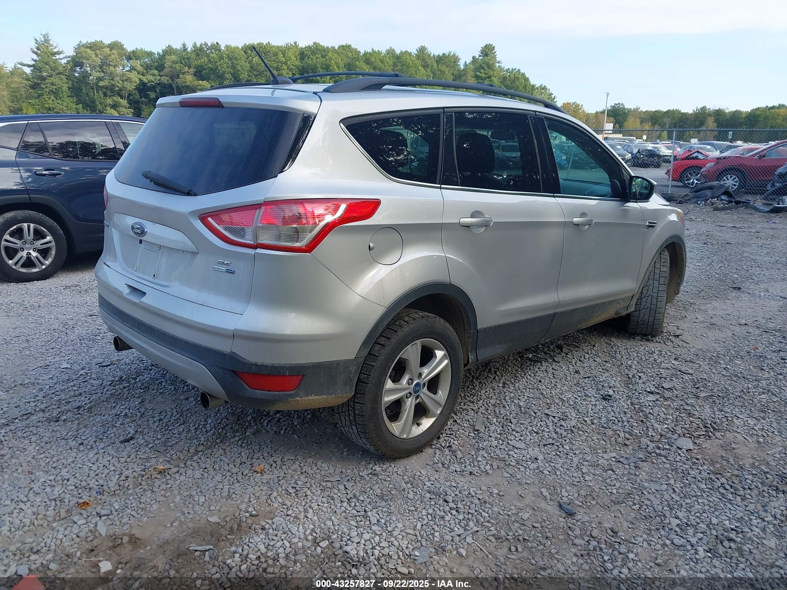 FORD ESCAPE image 4