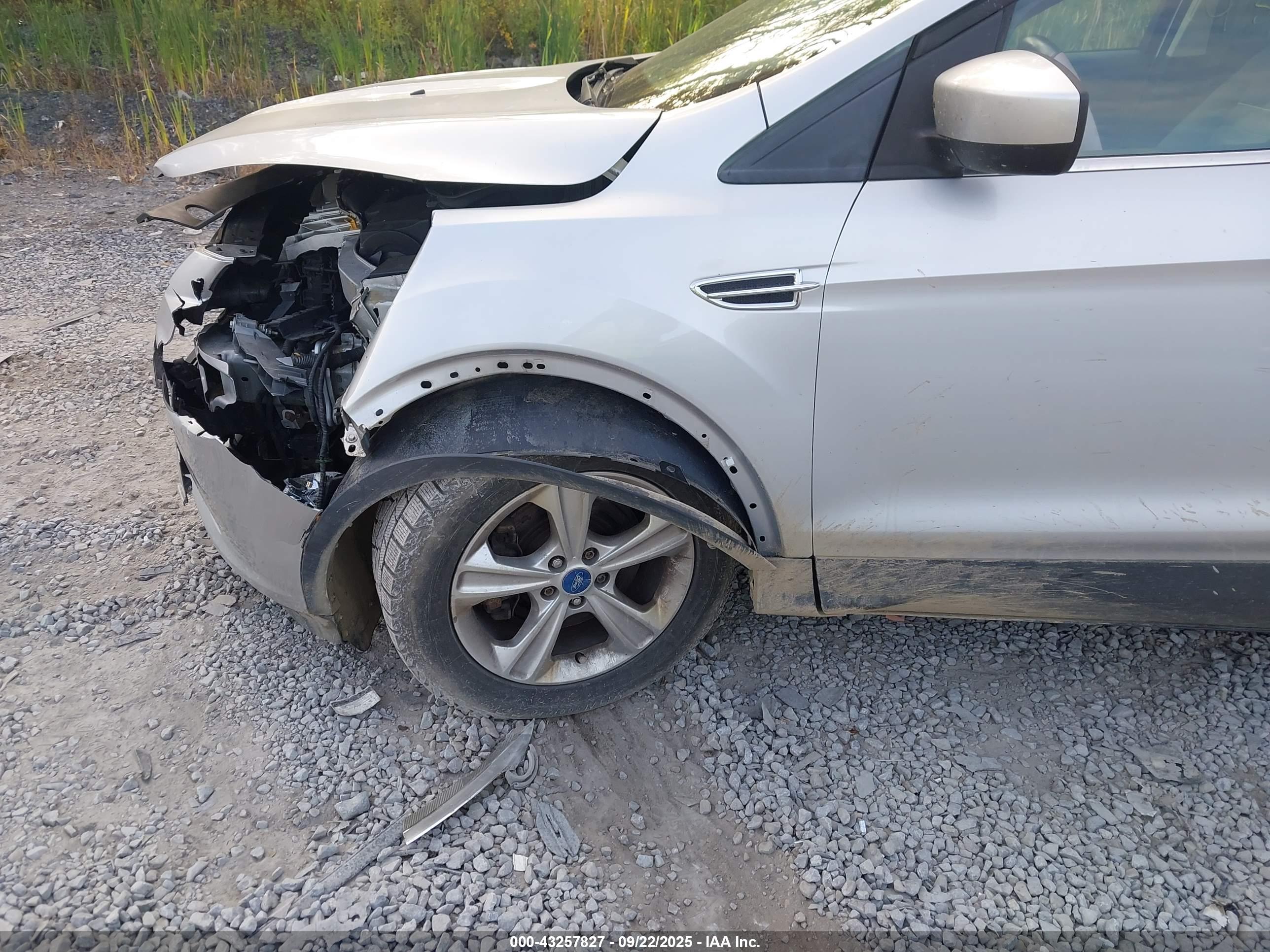 FORD ESCAPE image 6