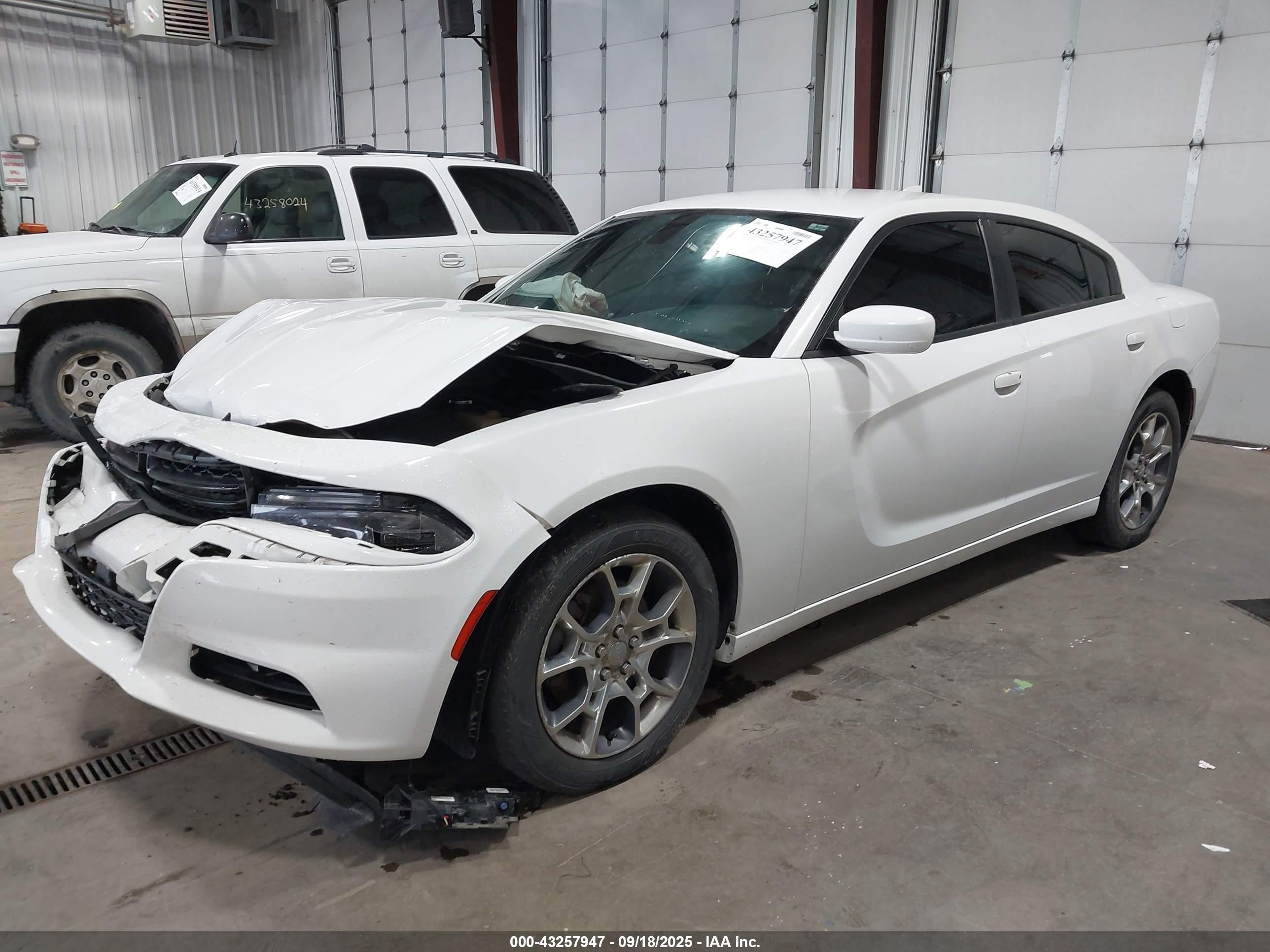 DODGE CHARGER image 2