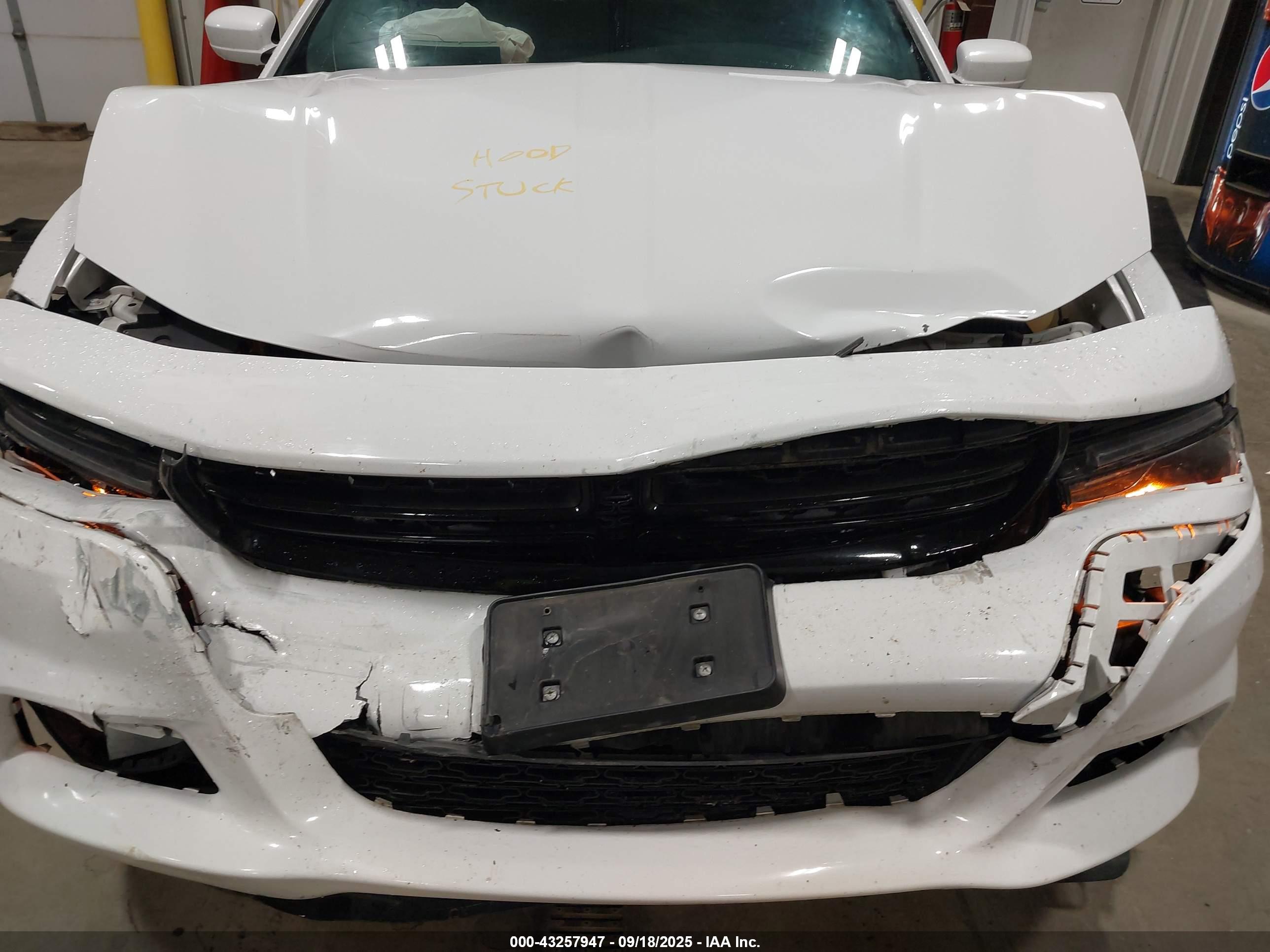 DODGE CHARGER image 6