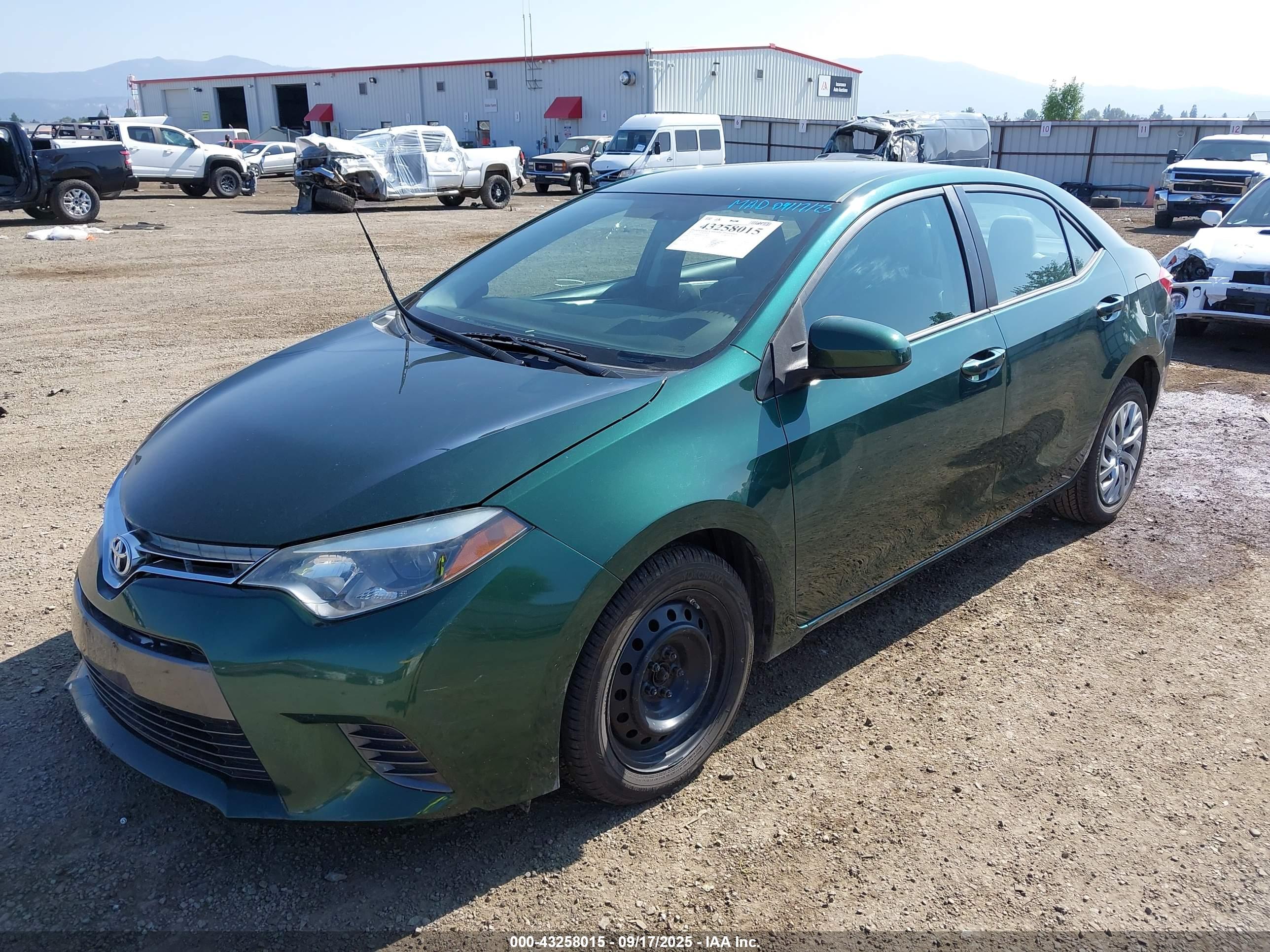 TOYOTA COROLLA image 2