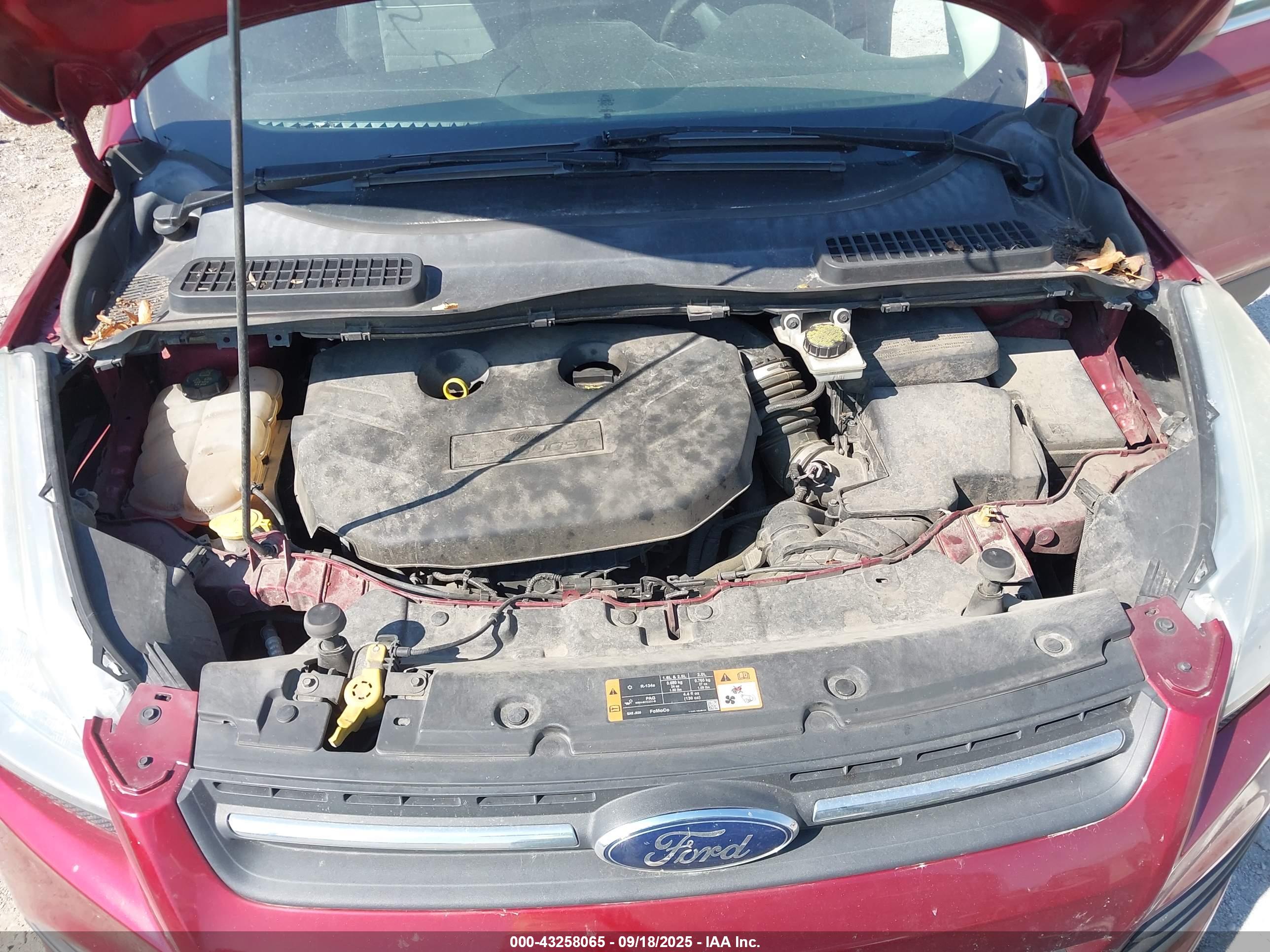 FORD ESCAPE image 10