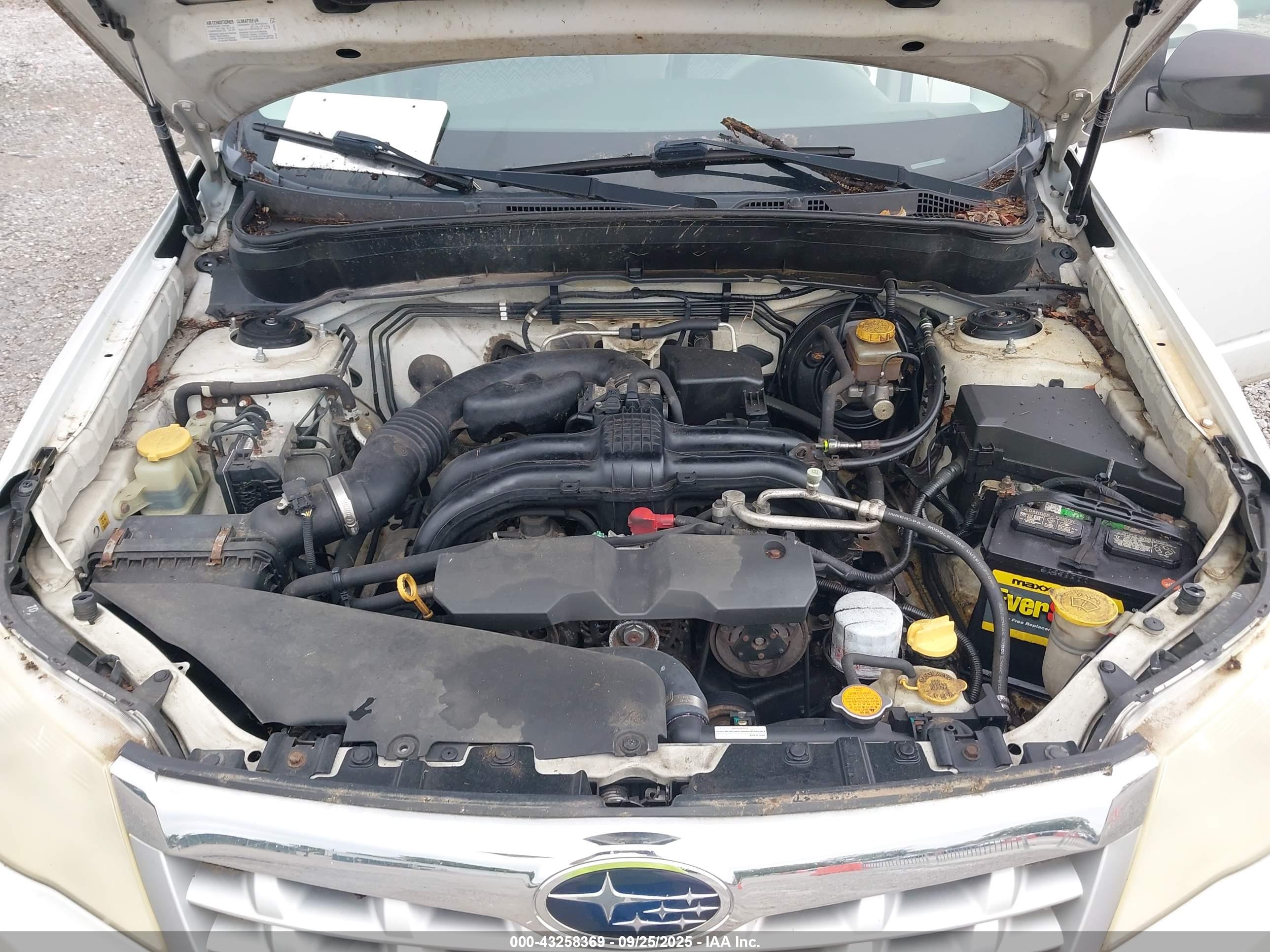 SUBARU FORESTER image 10