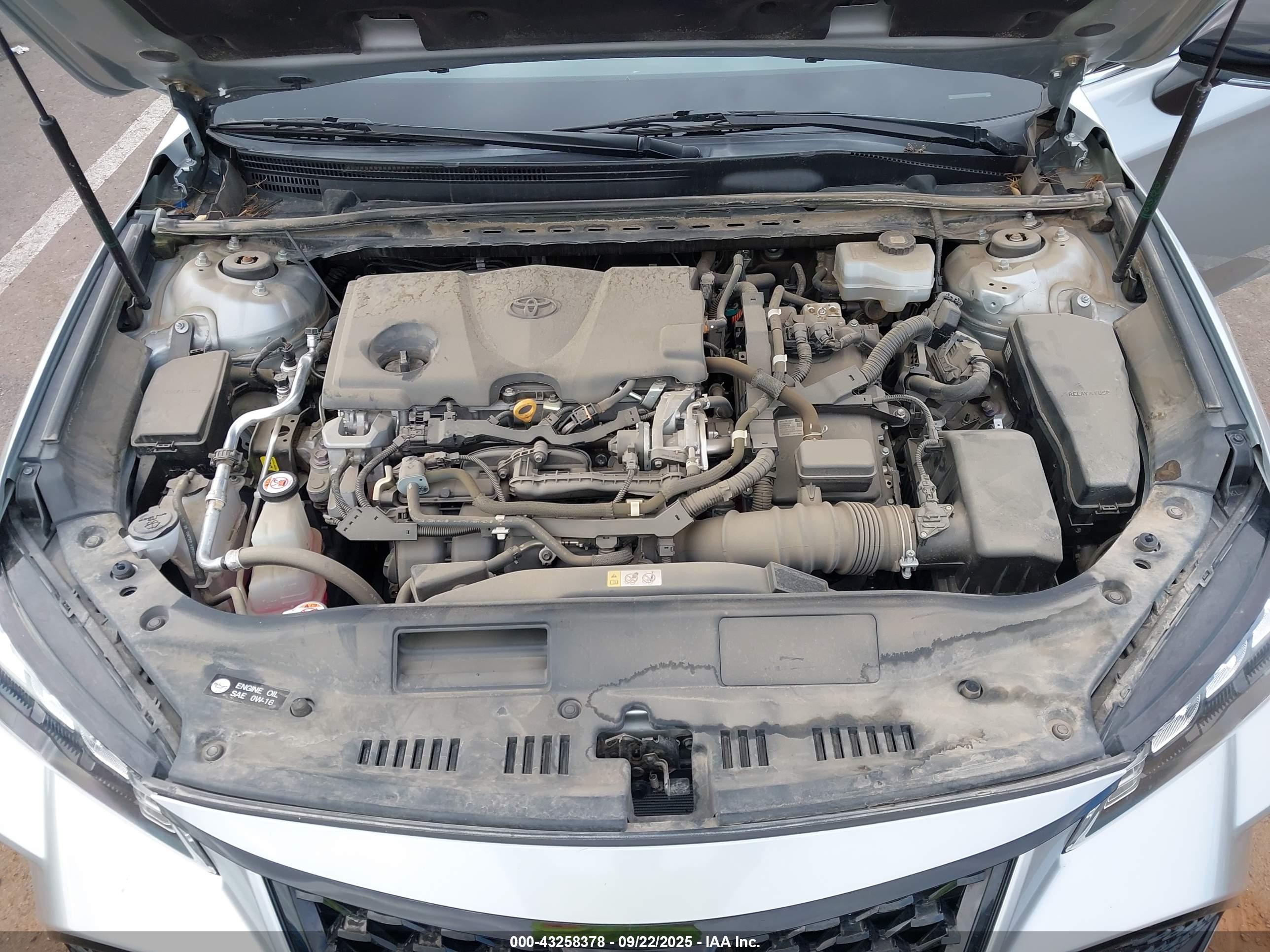 TOYOTA AVALON image 10