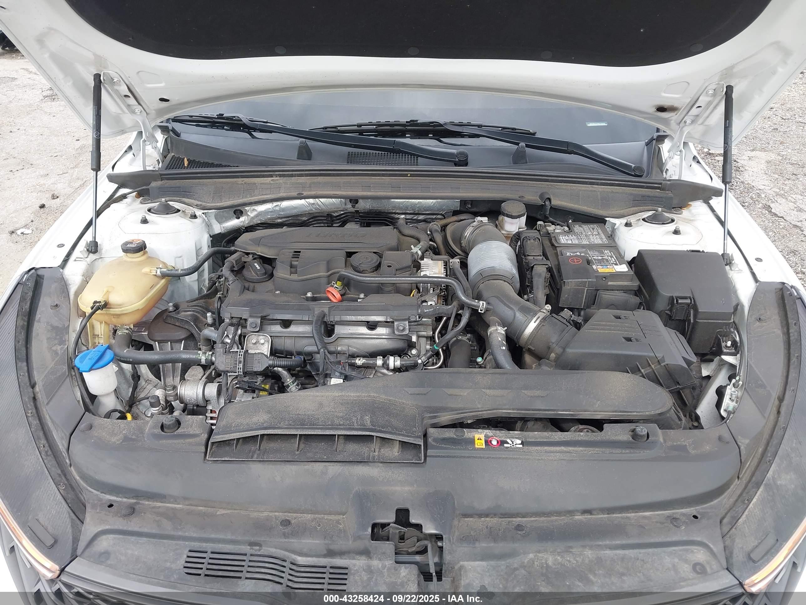 KIA K5 image 10