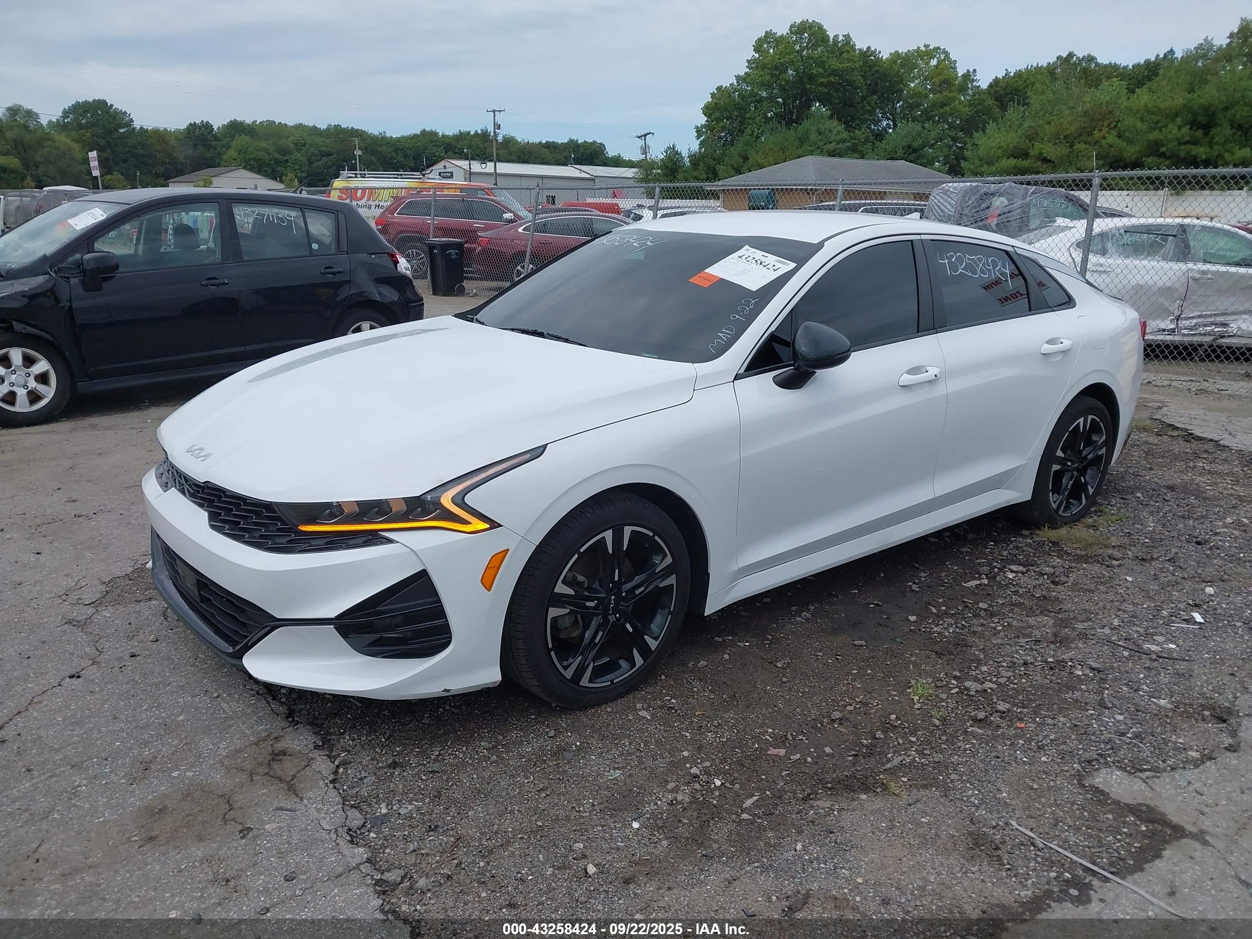 KIA K5 image 2