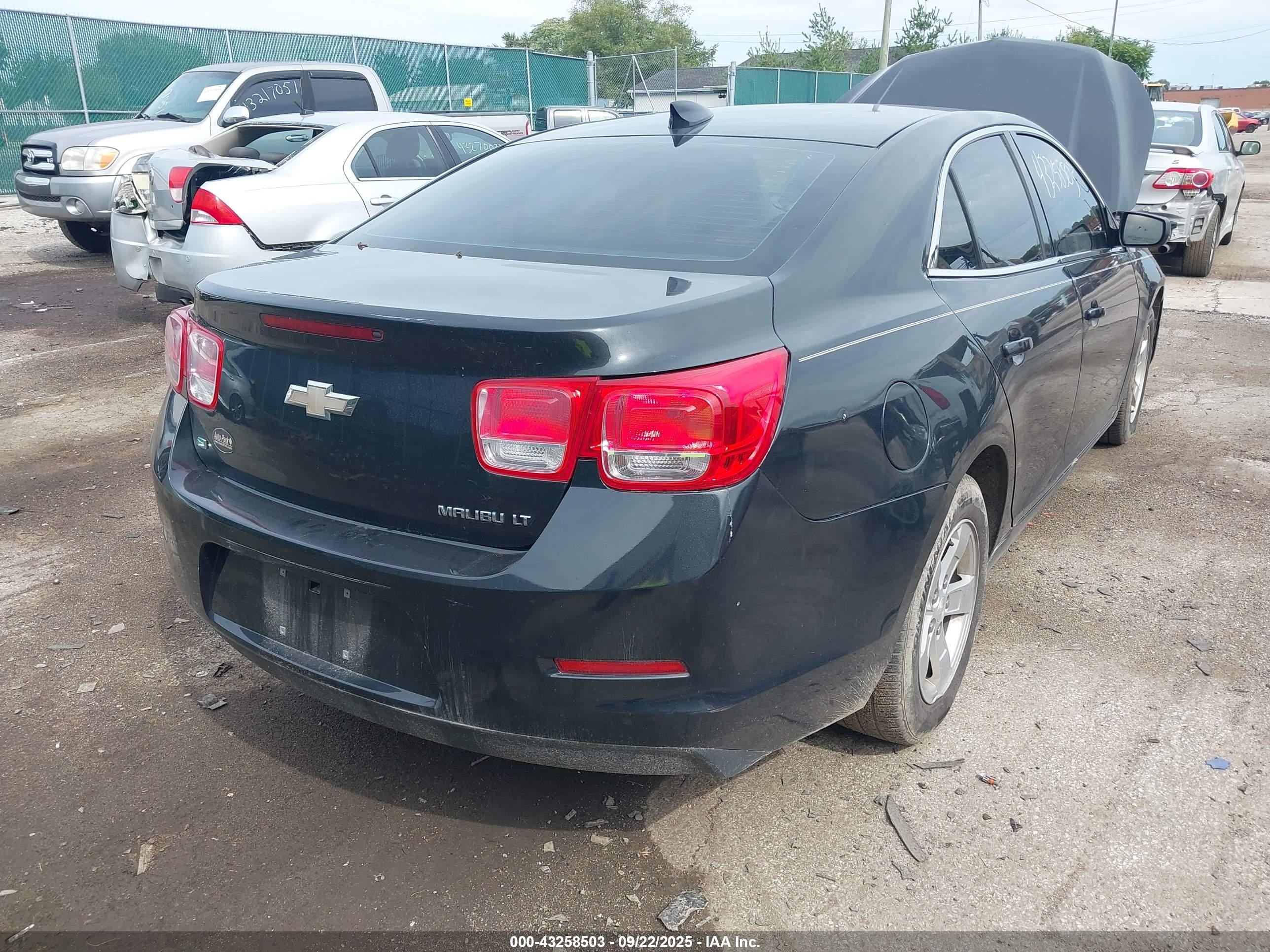 CHEVROLET MALIBU image 4