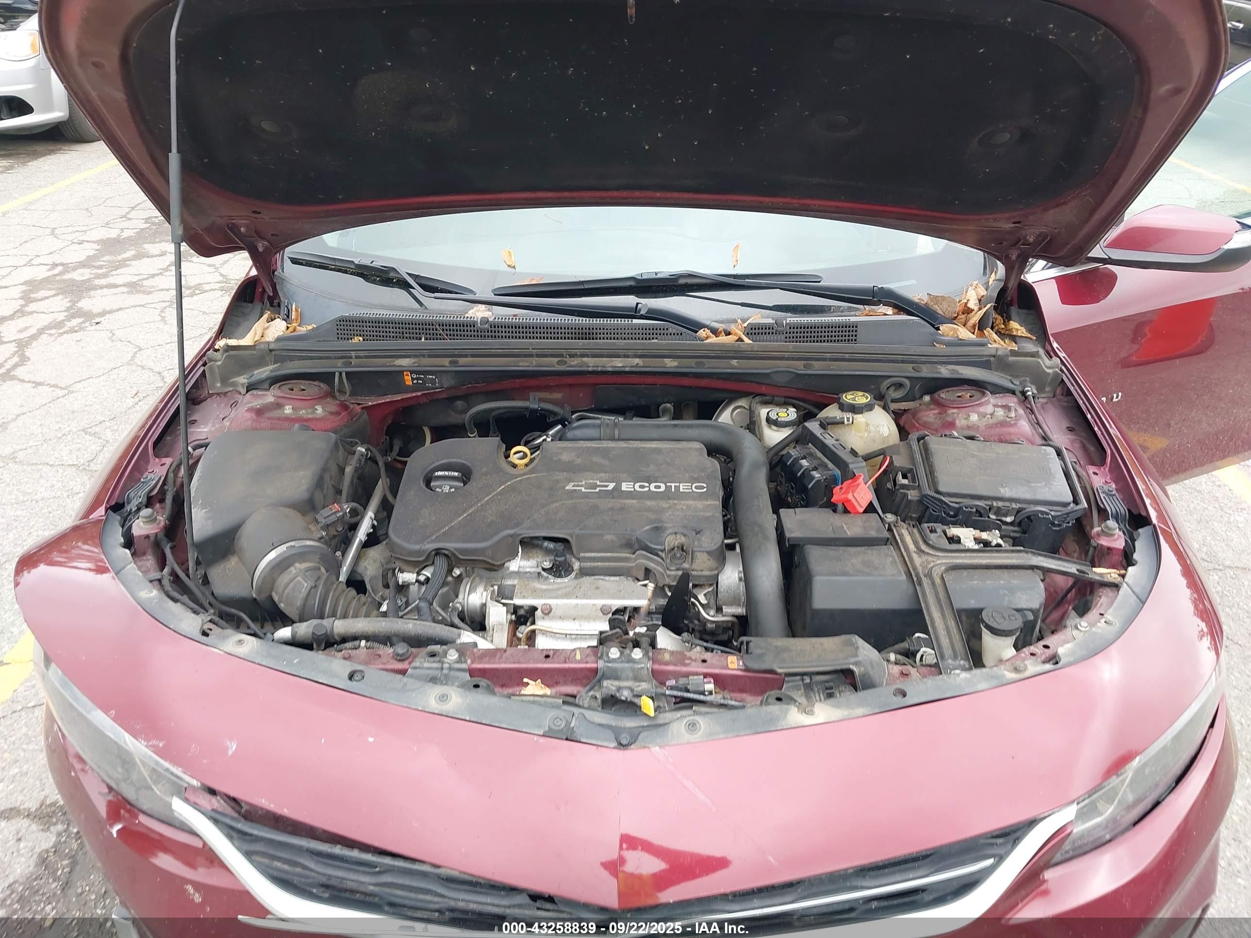 CHEVROLET MALIBU image 10